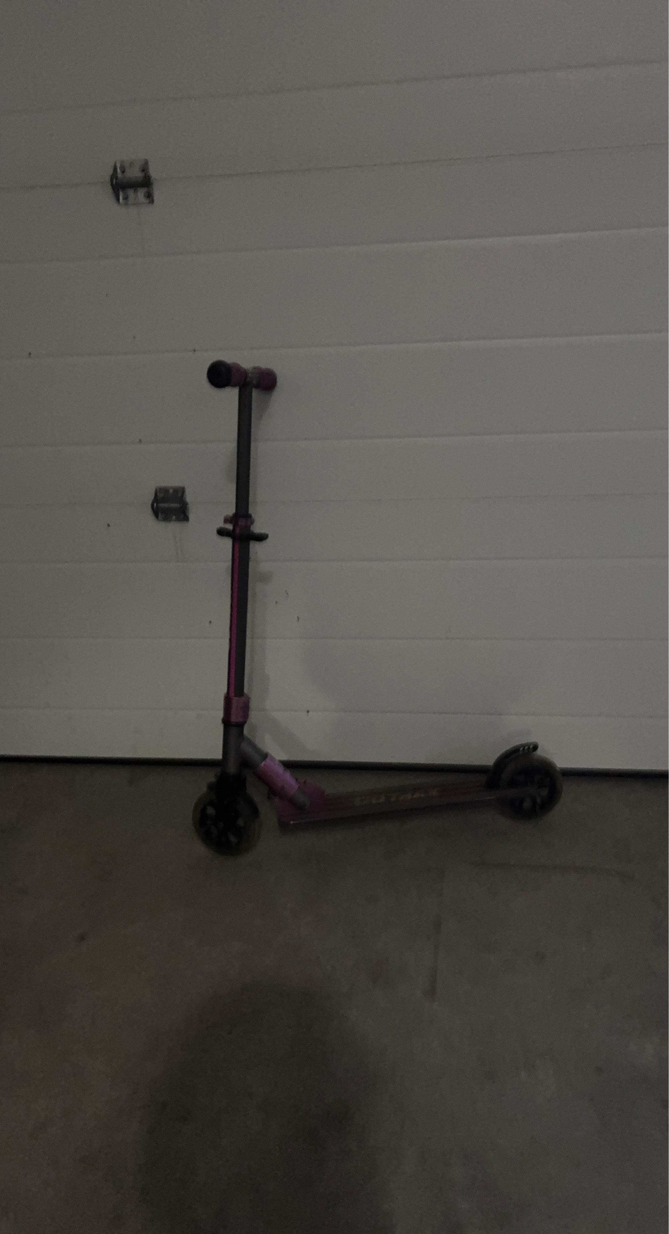 GoTrax Scooter