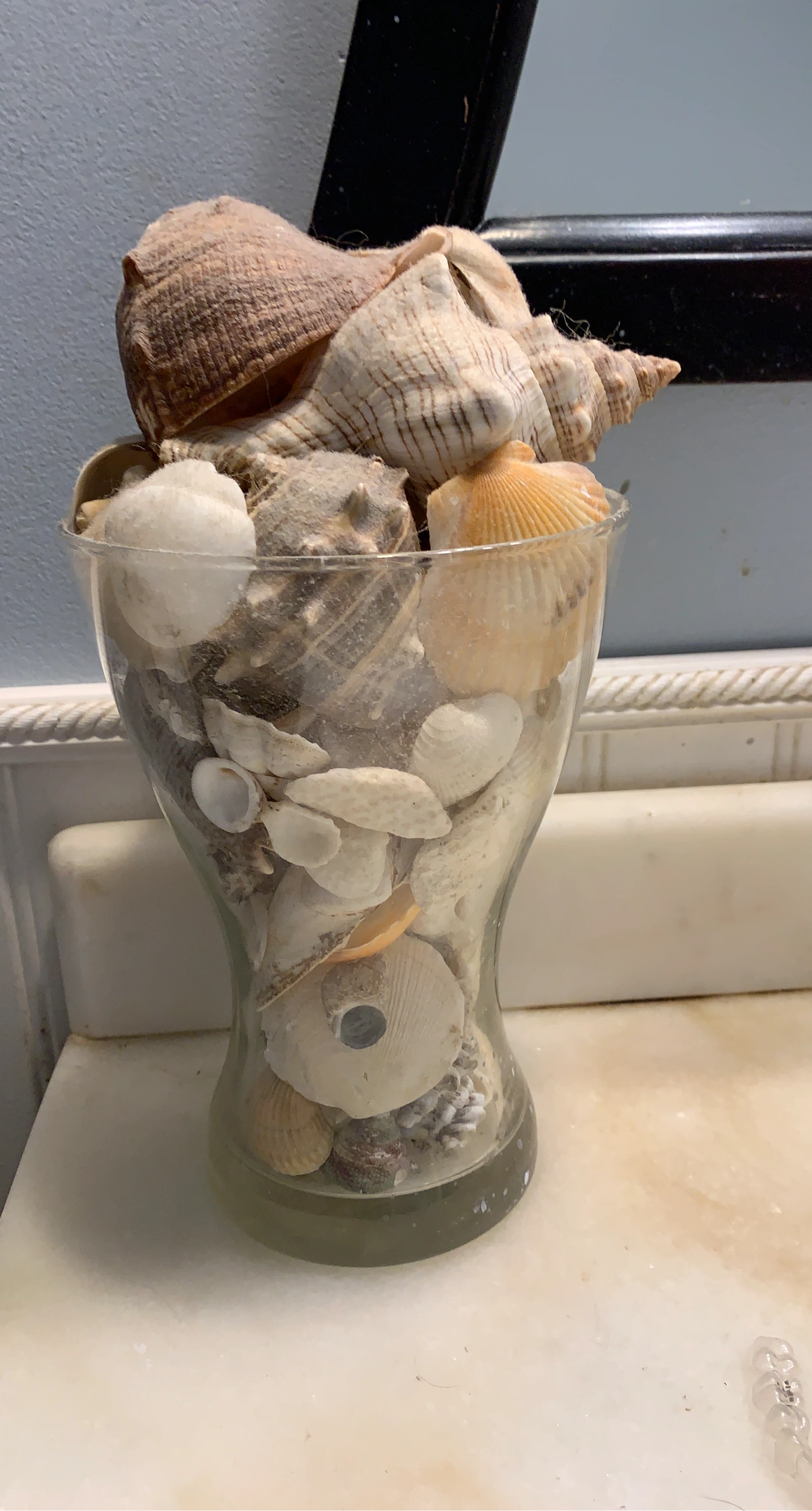Glass Vase Filled with Assorted Seashells