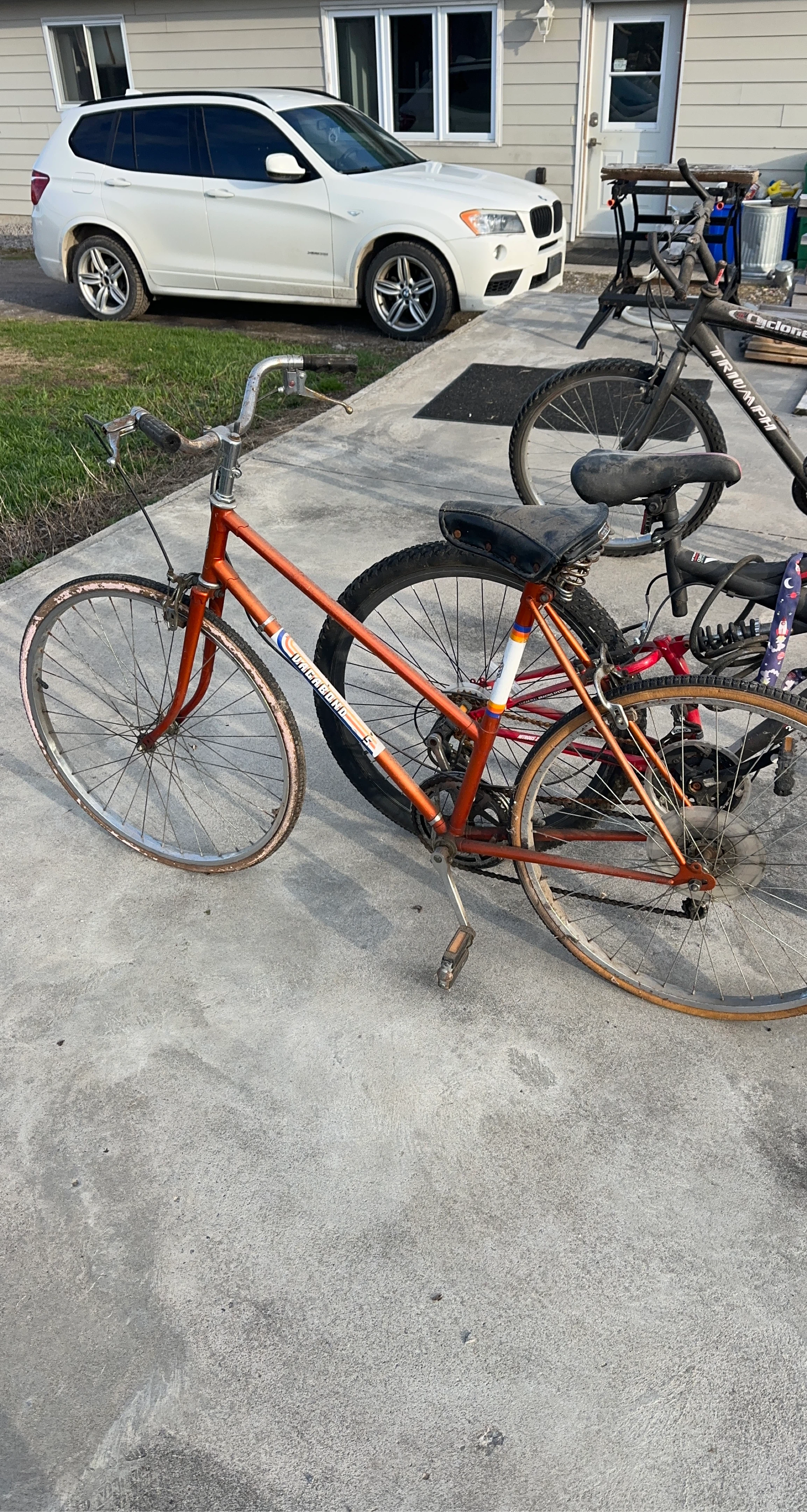 Vintage Vagabond Bicycle - Orange