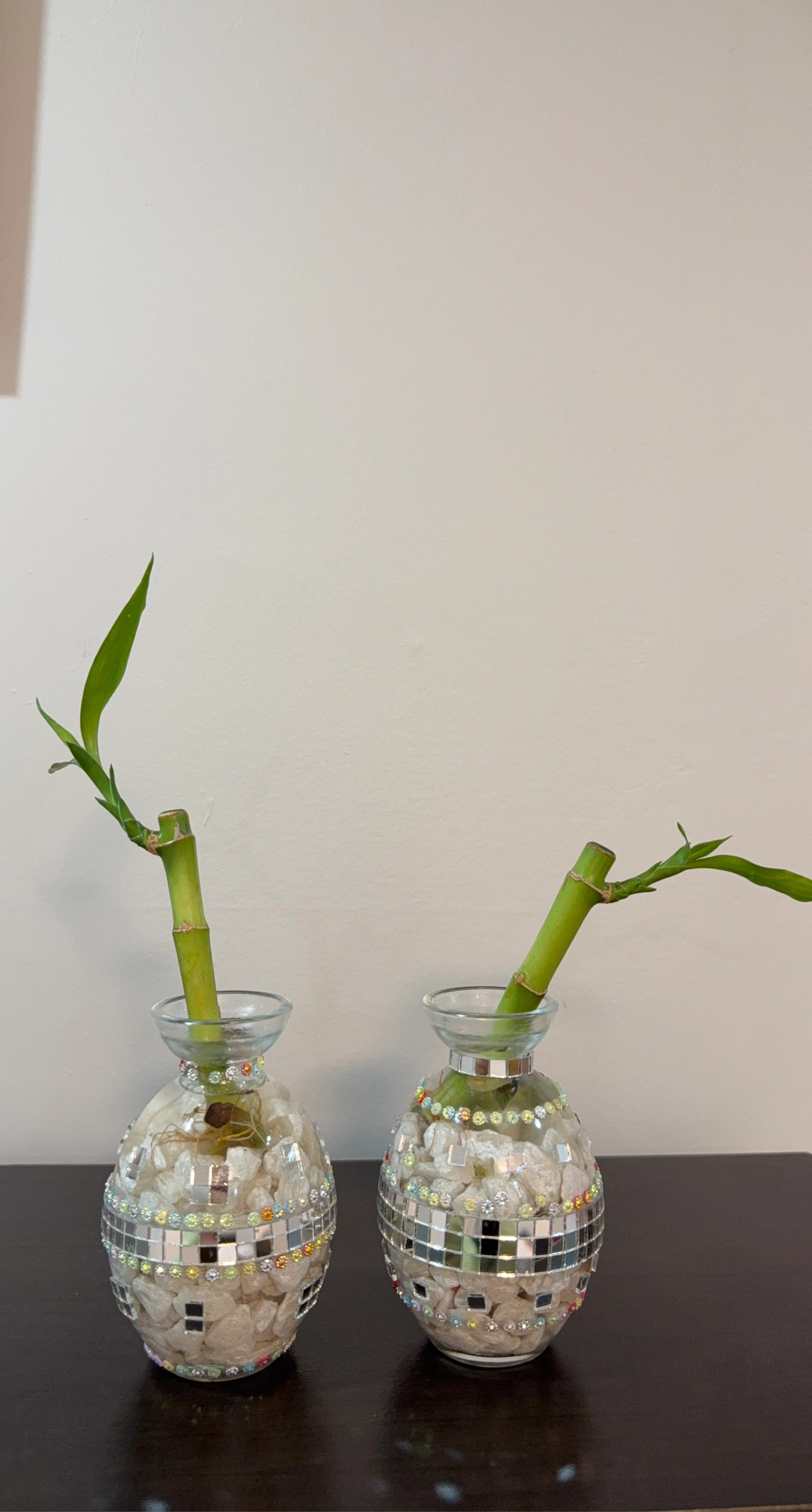 Decorative Lucky Bamboo in handmade Mosaic Vases - Set of 2