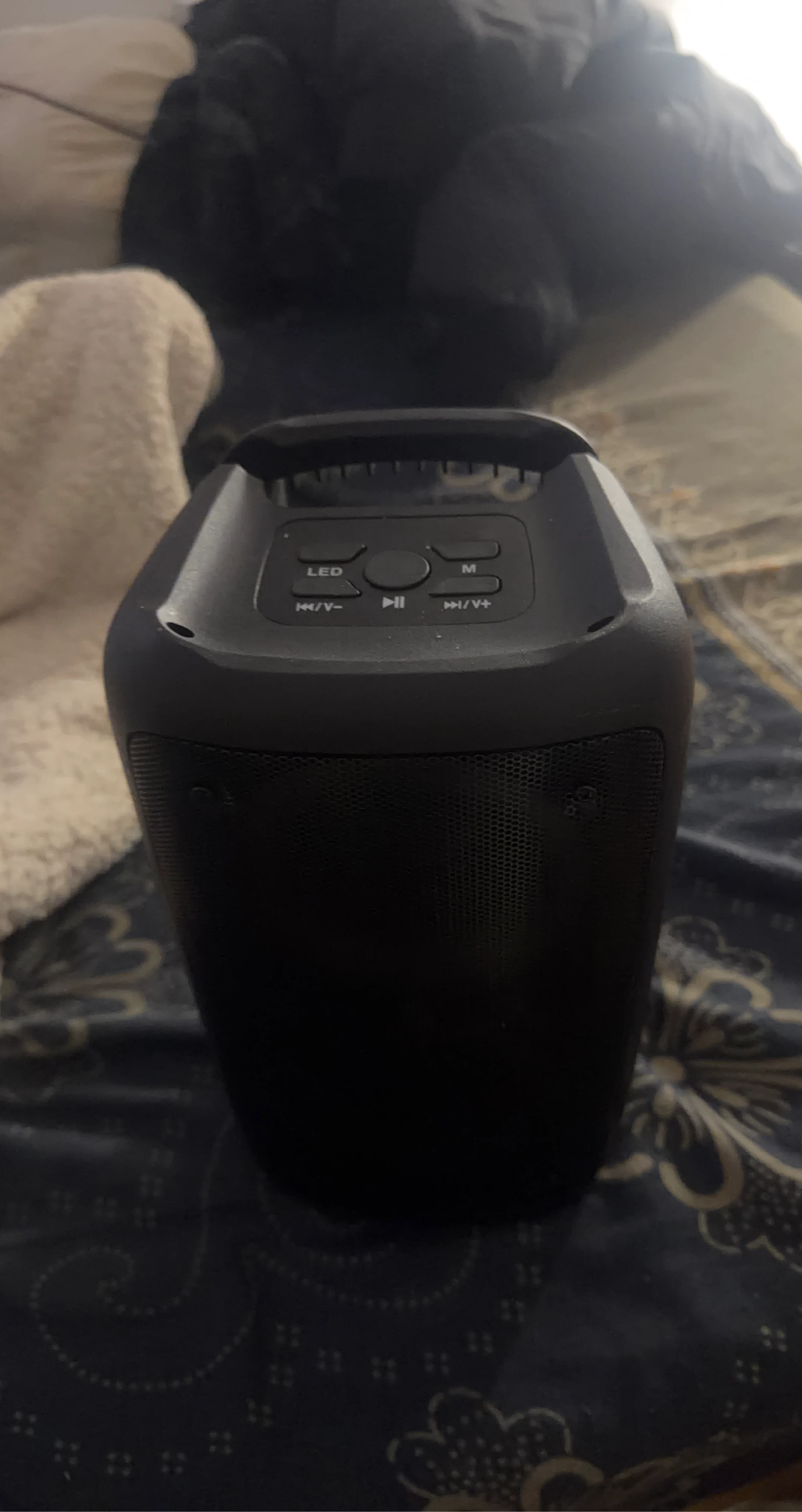 Black Portable Bluetooth Speaker