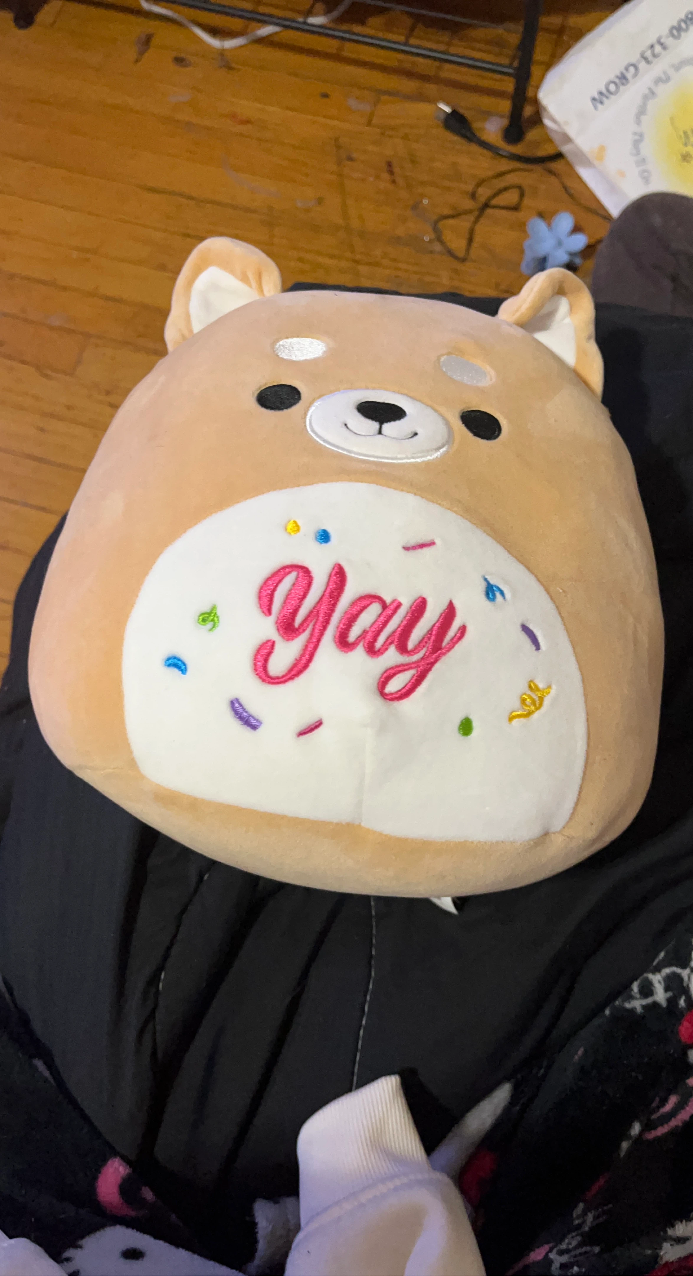 Squishmallow Dog Plush "Yay" Design