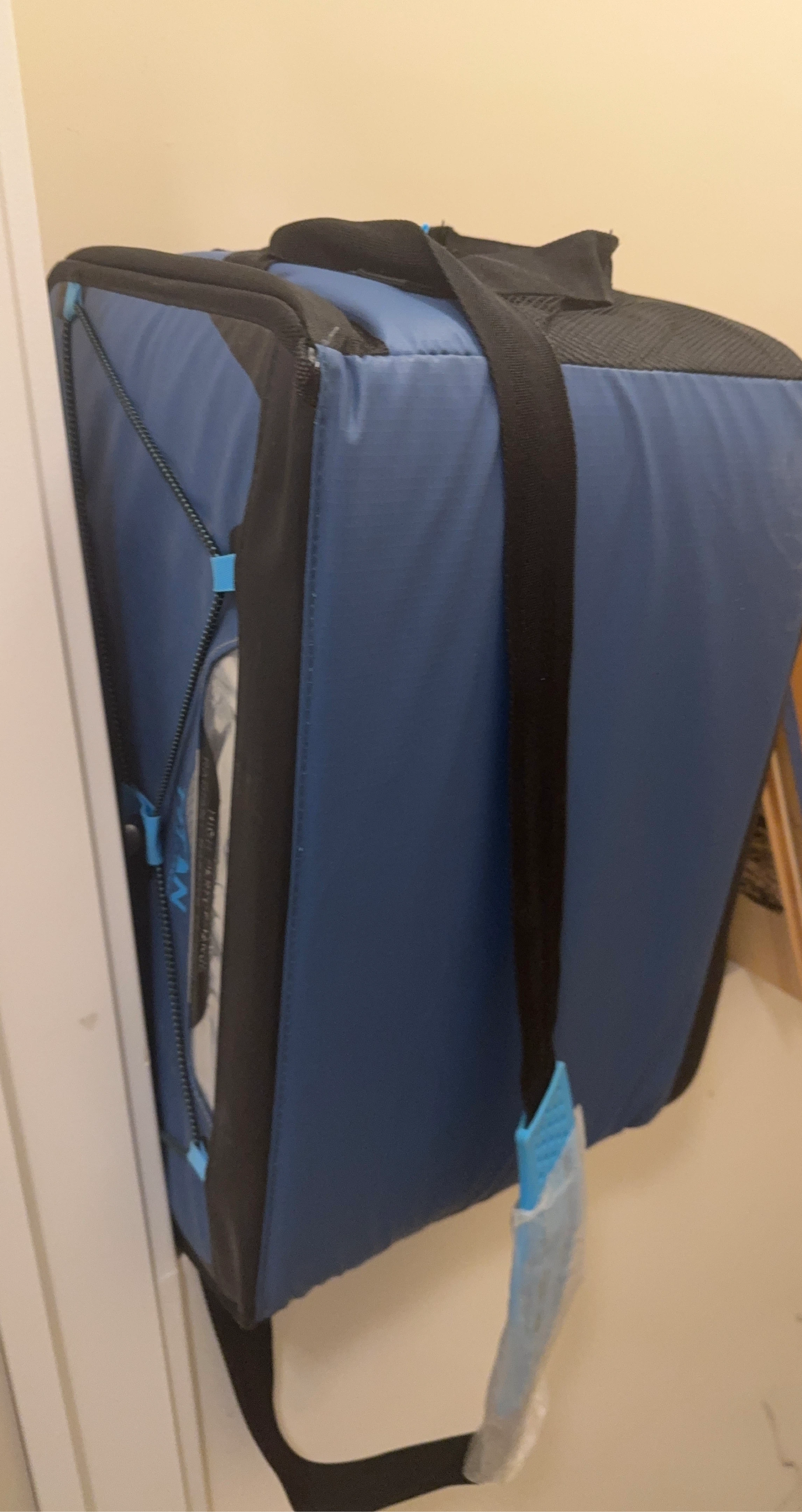 Blue Insulated cooler bah