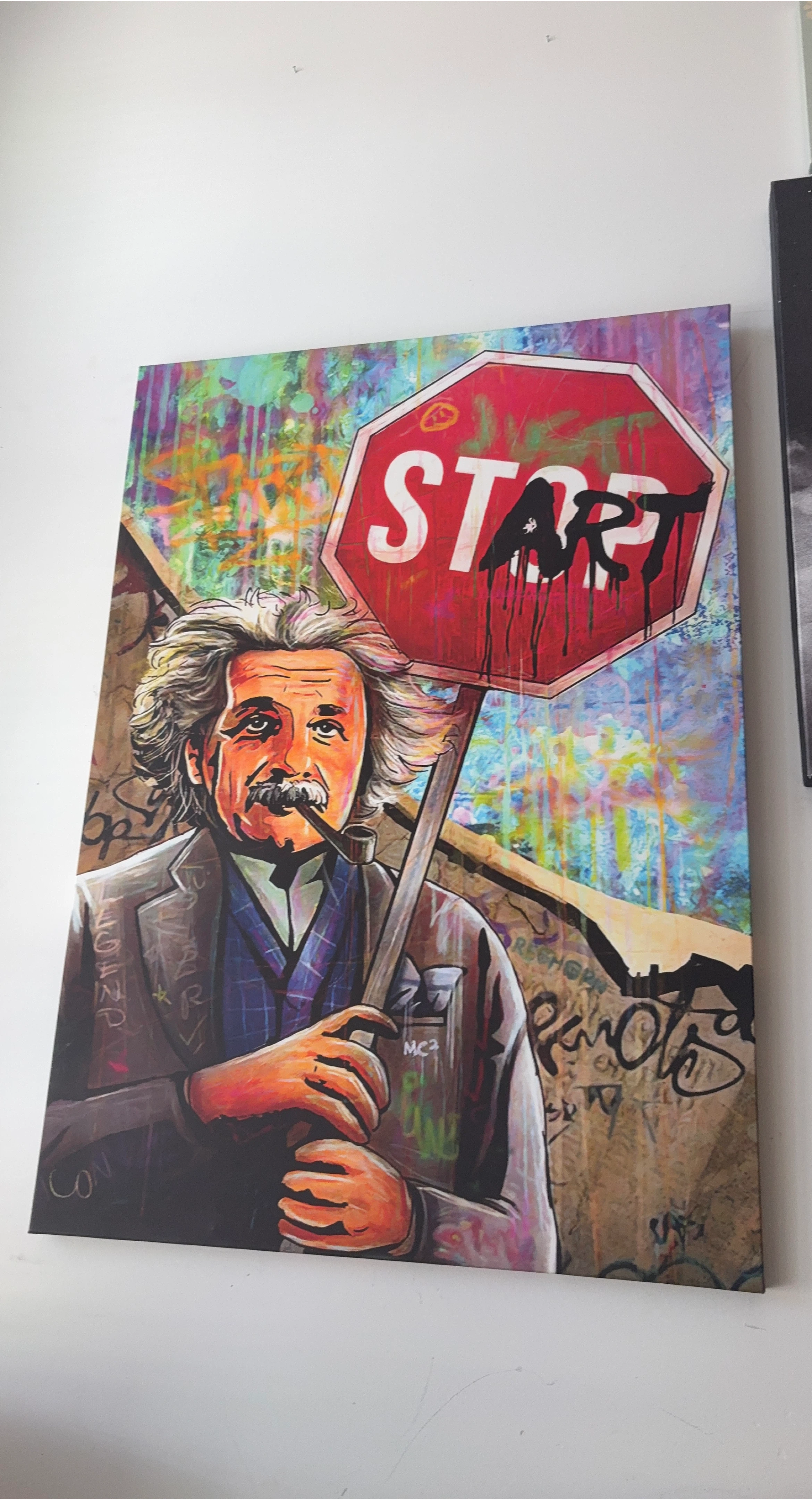 Einstein with Stop Sign Canvas Art
