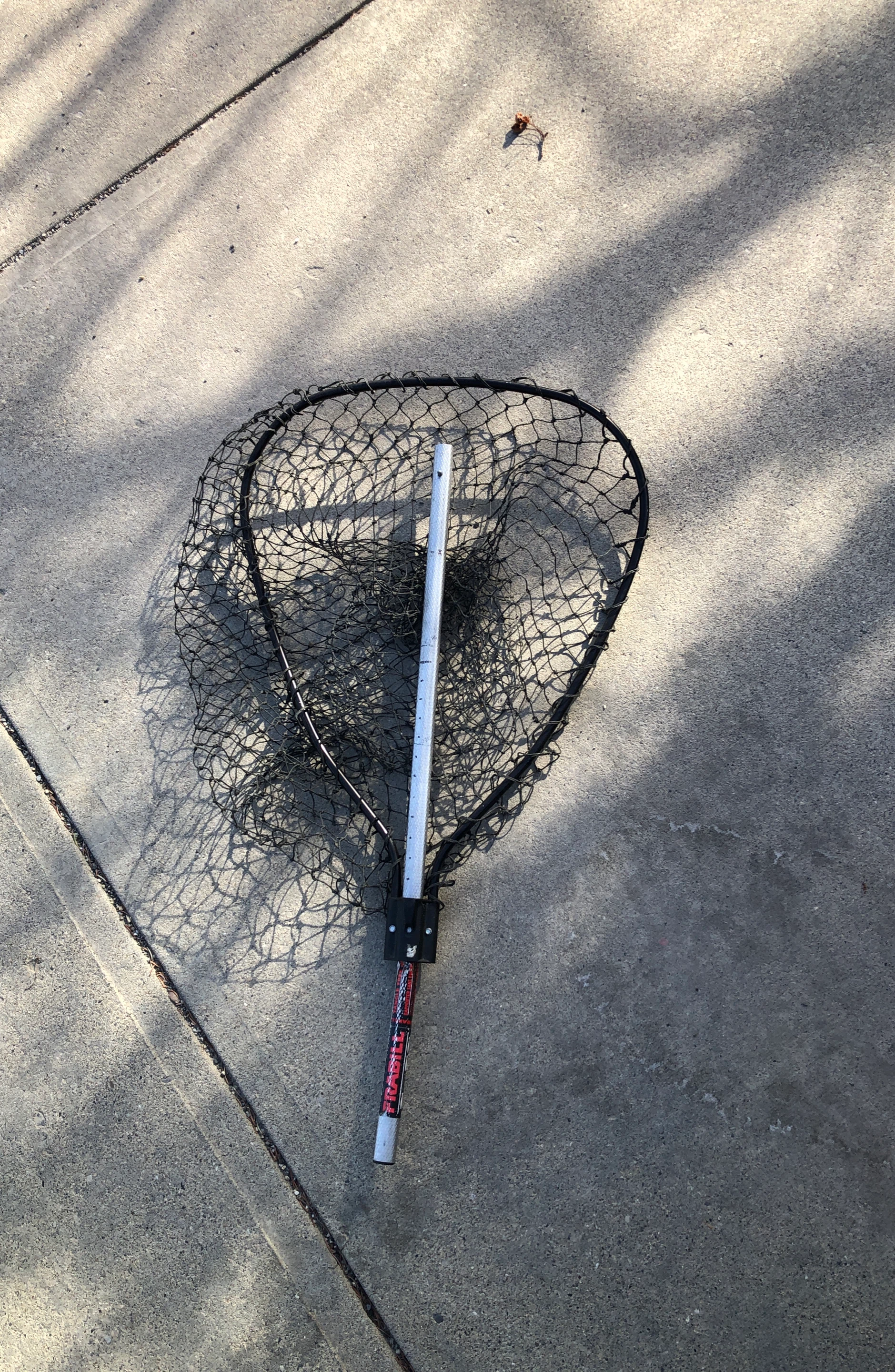 Fishing Net