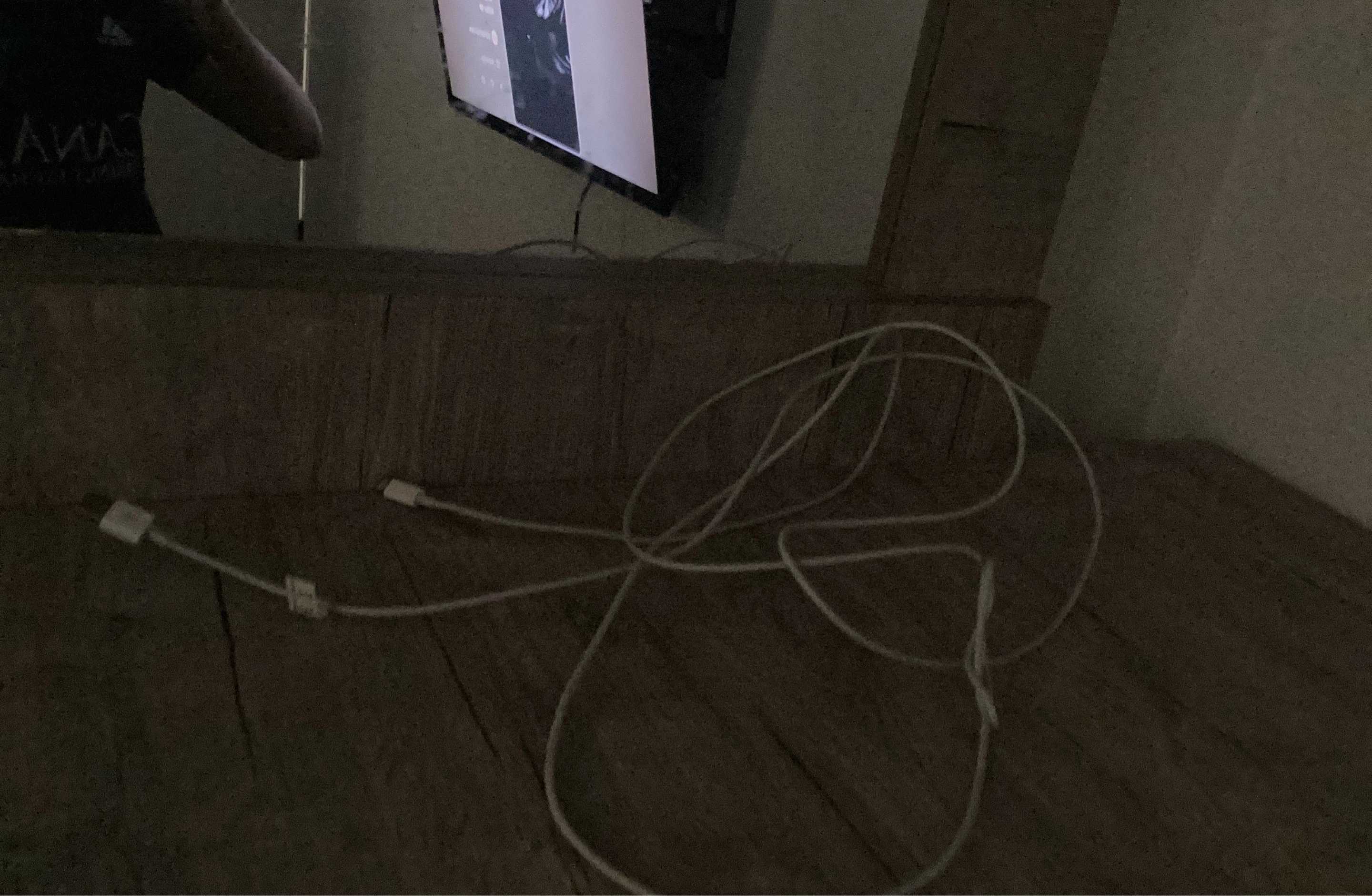 Apple Lightning to USB Cable