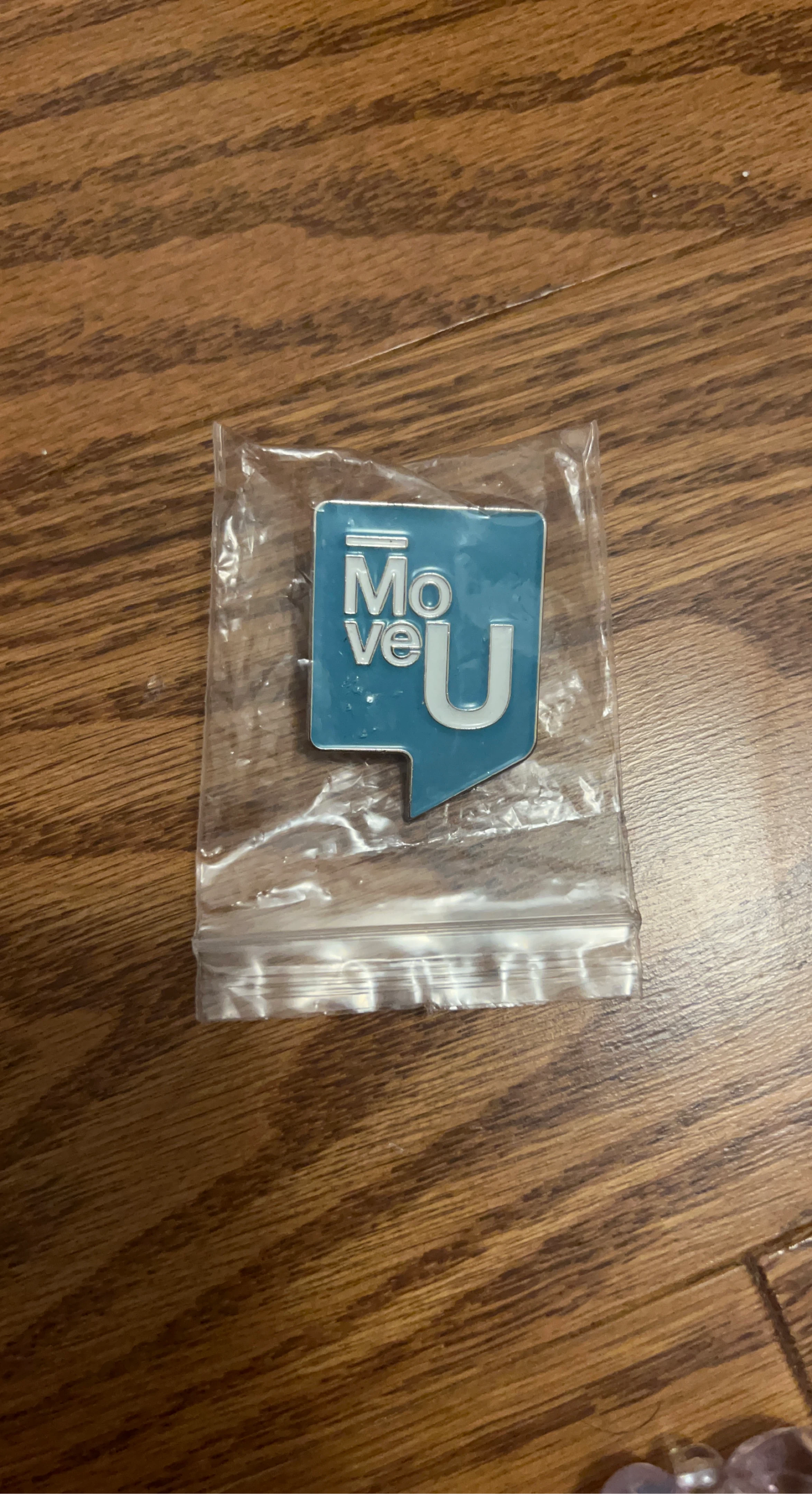 Move U Lapel Pin