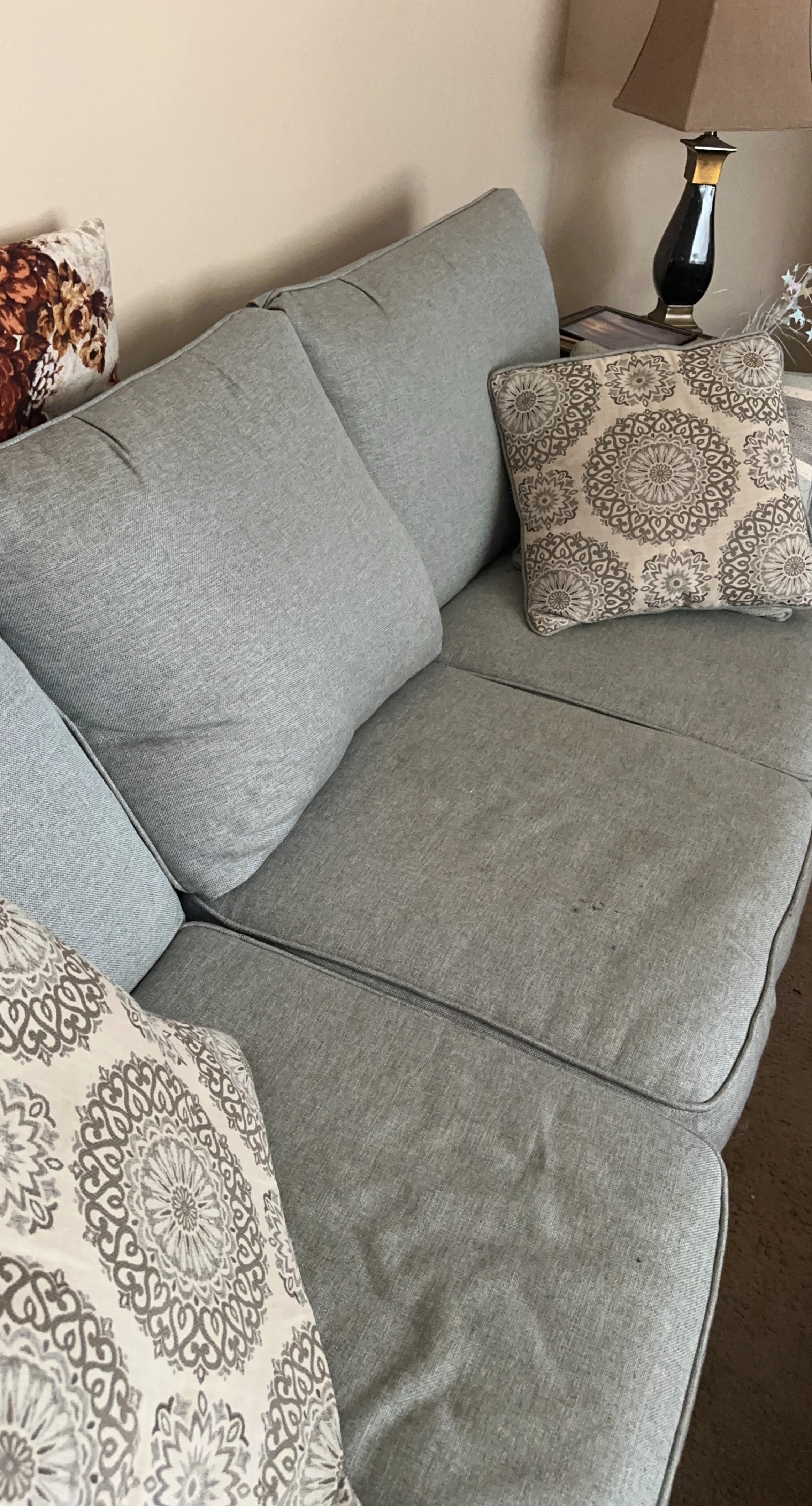 Light Grey Sectional Sofa with Decorative Pillows