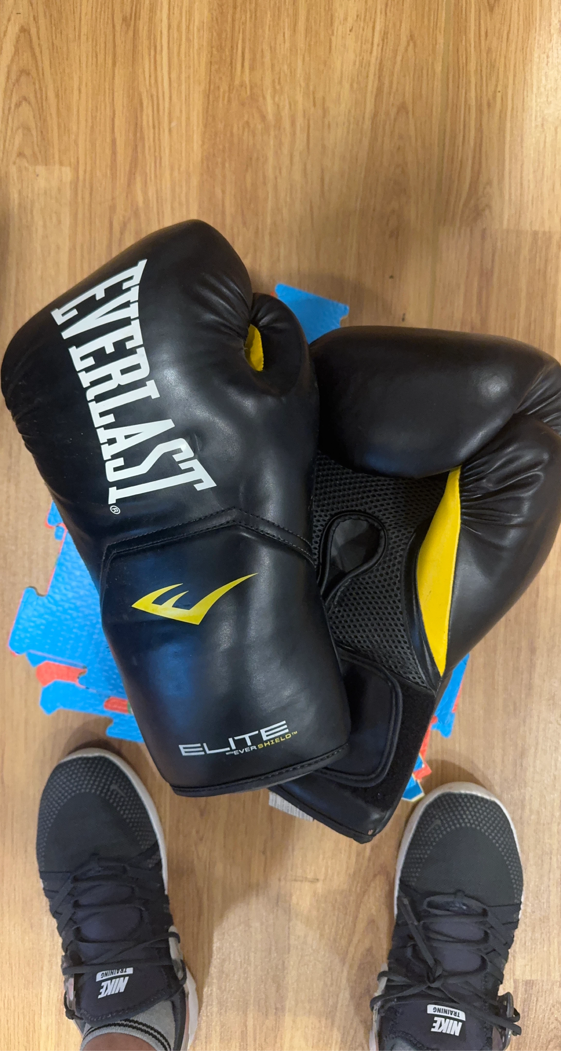 Everlast Elite Boxing Gloves