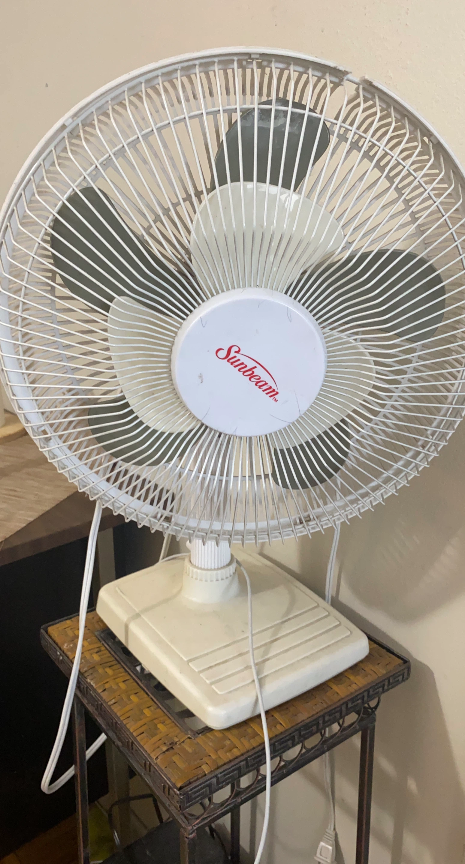 Sunbeam White Desk Fan