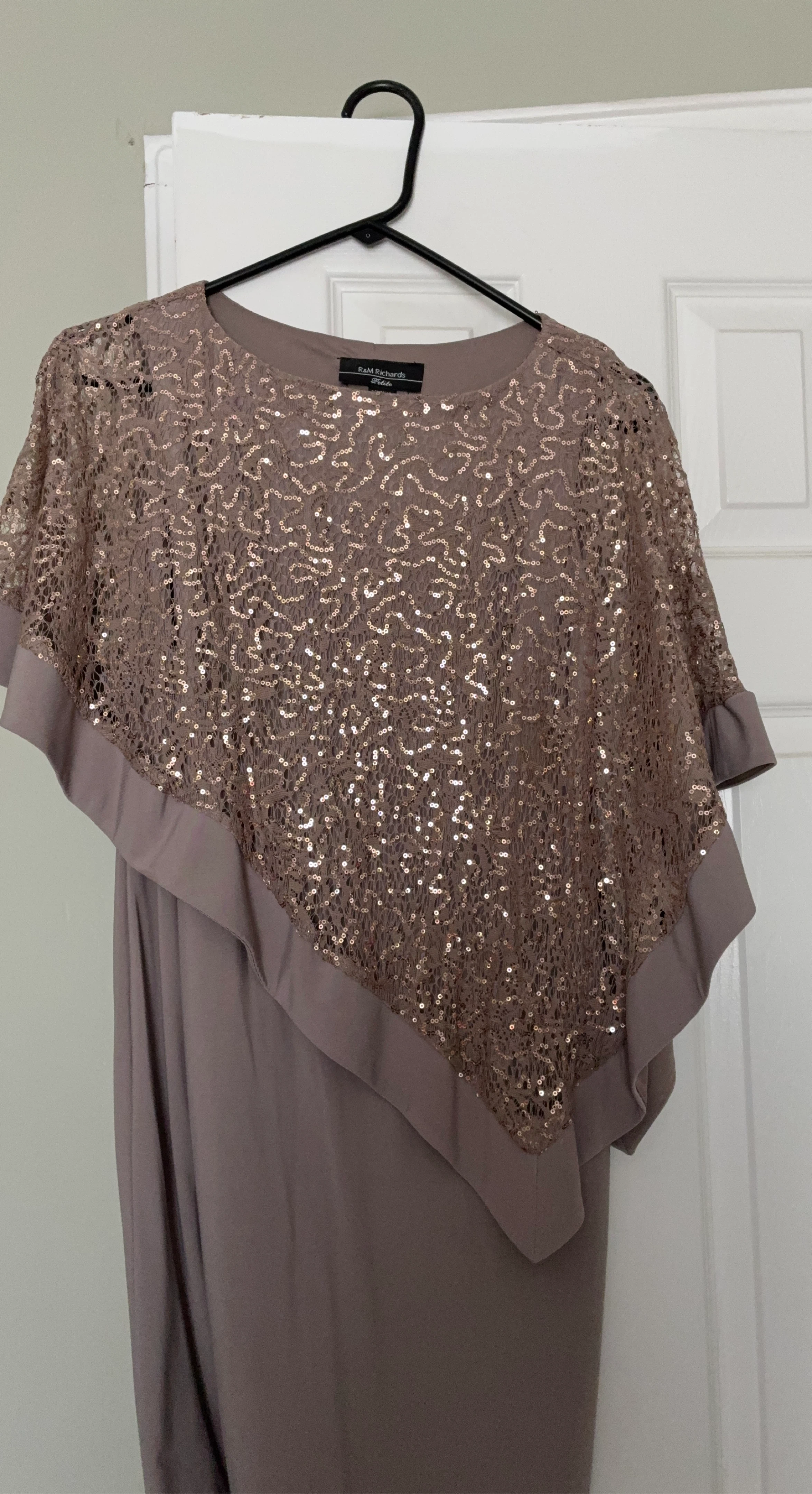 R&M Richards Sequin Overlay Dress