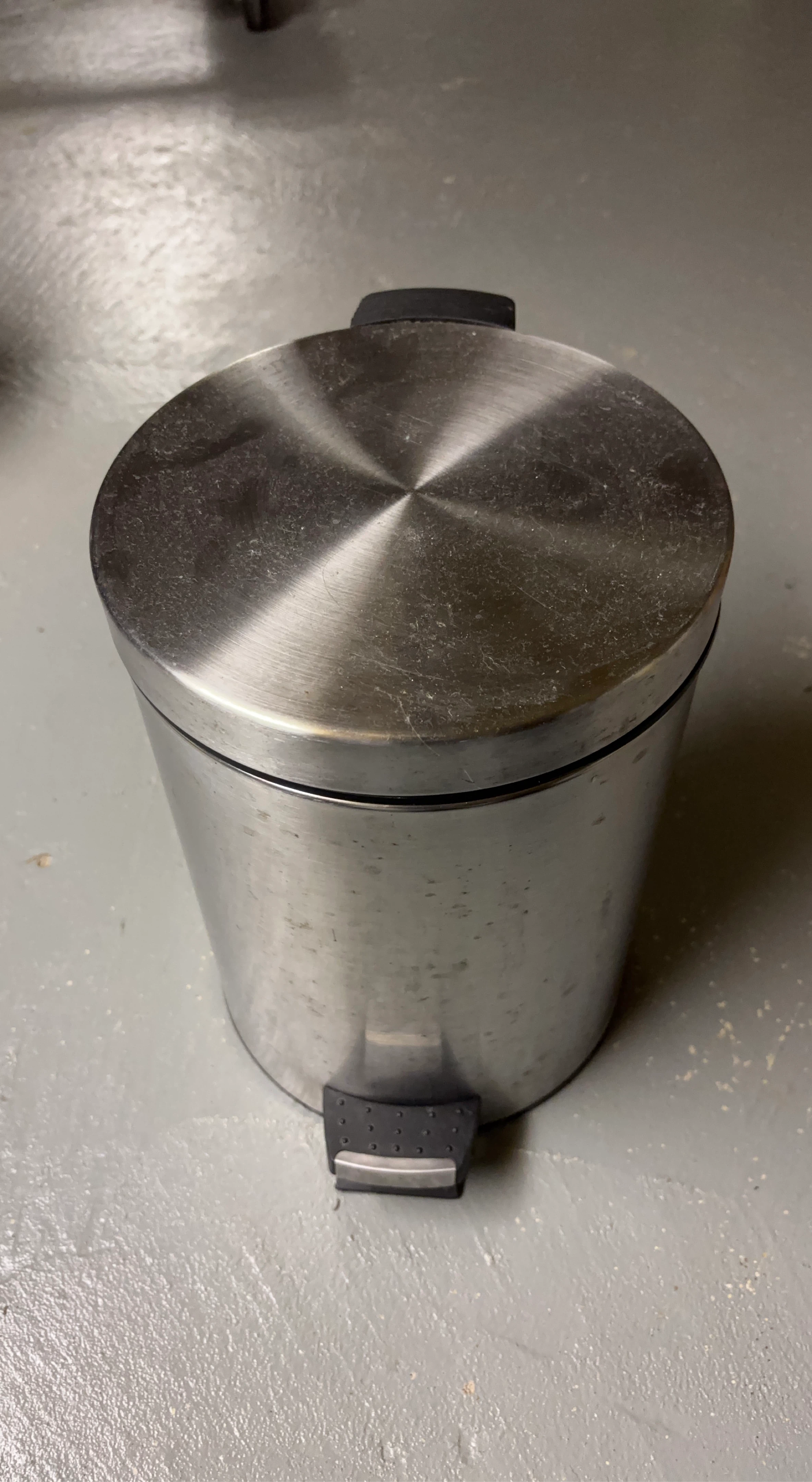 Brushed Stainless Steel Step Can
