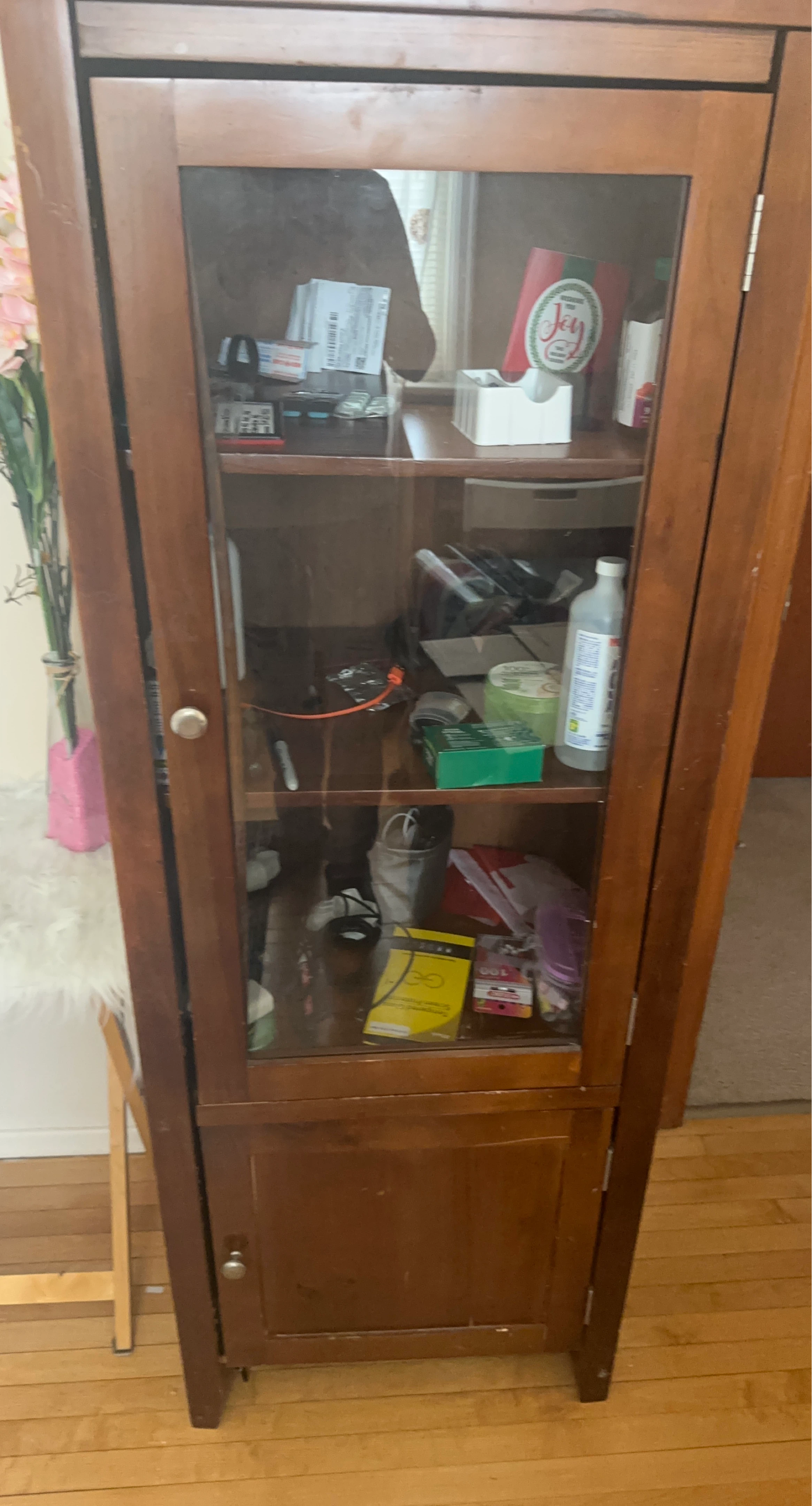 Wooden Display Cabinet with Glass Door