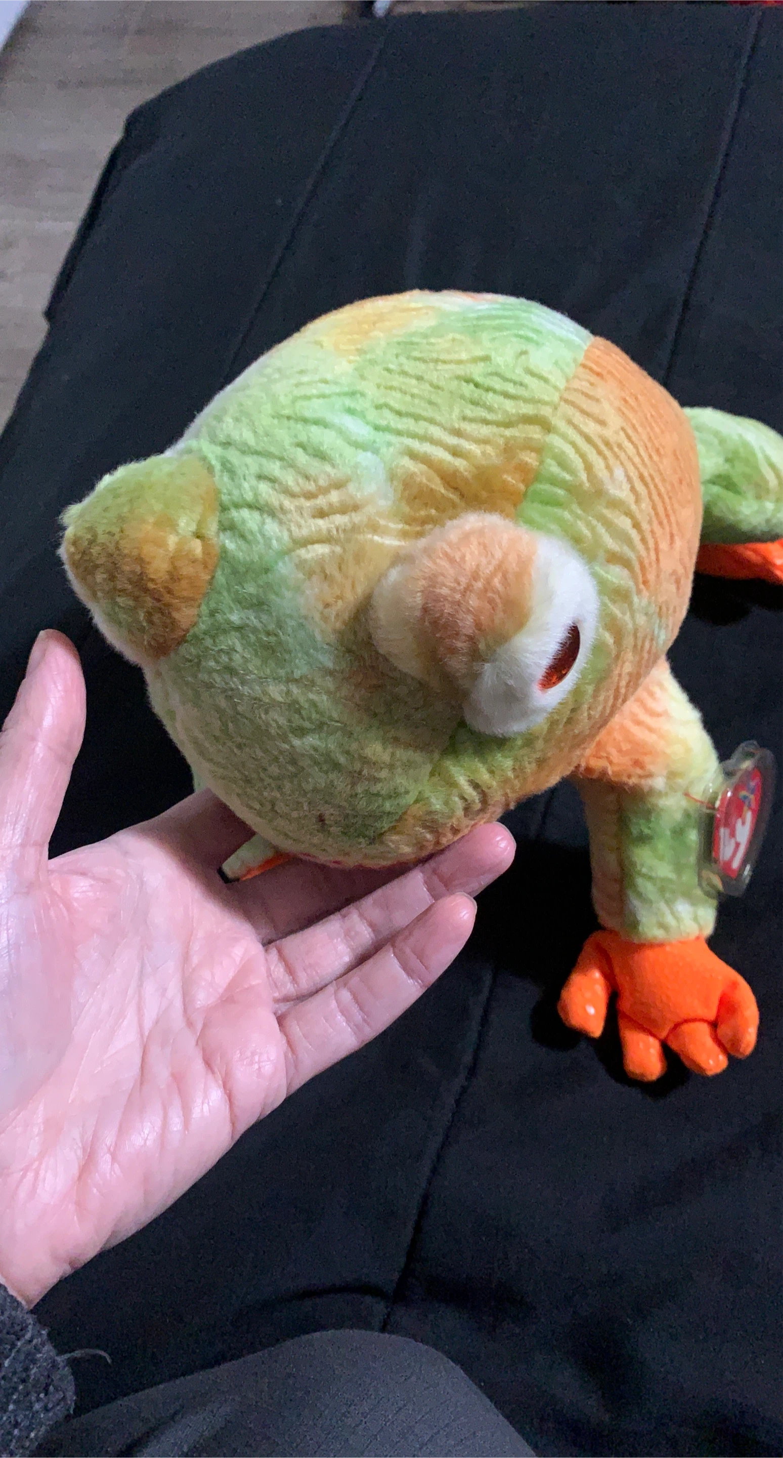 $10 Ty frog