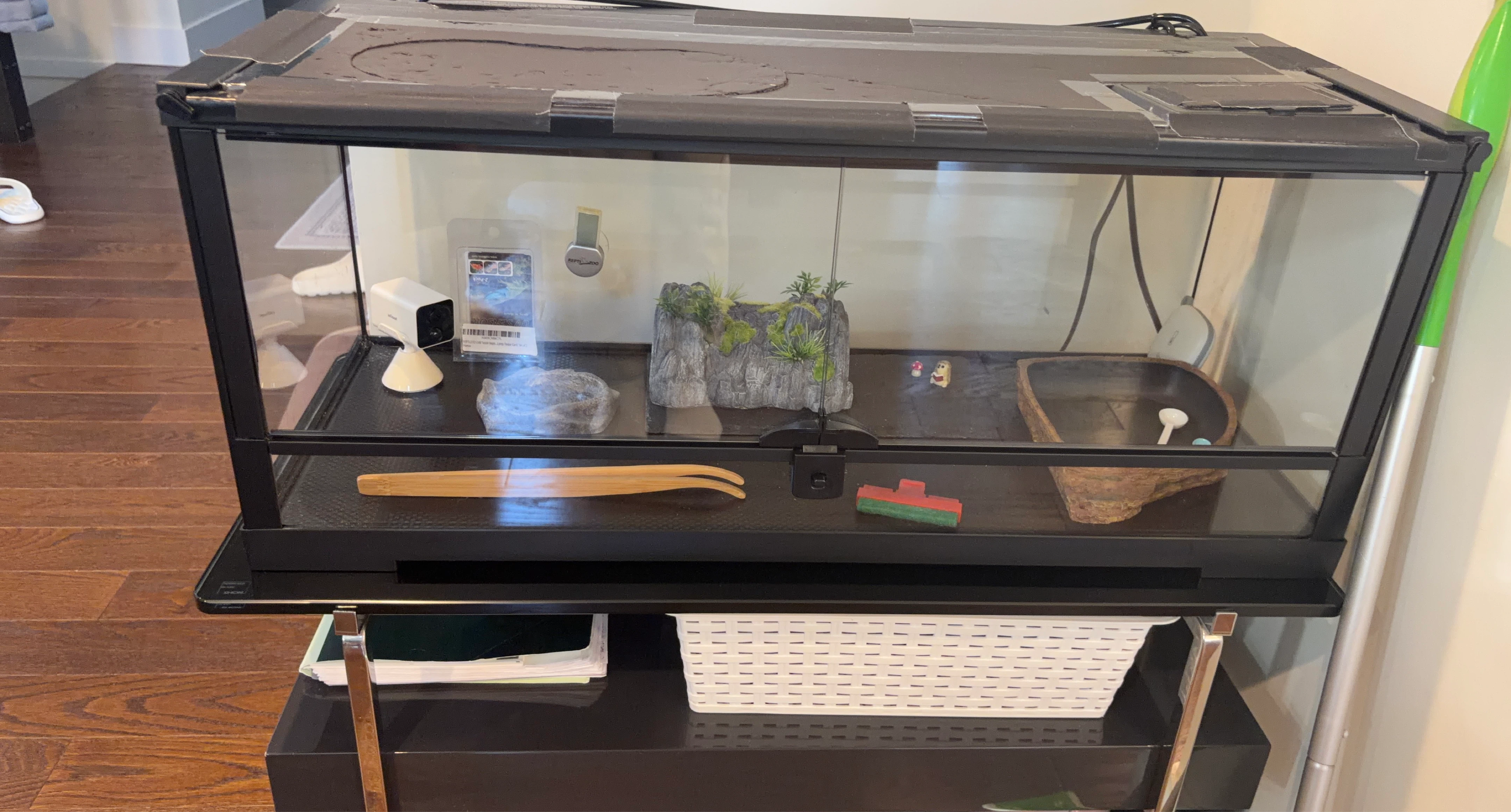 Terrarium with Accessories