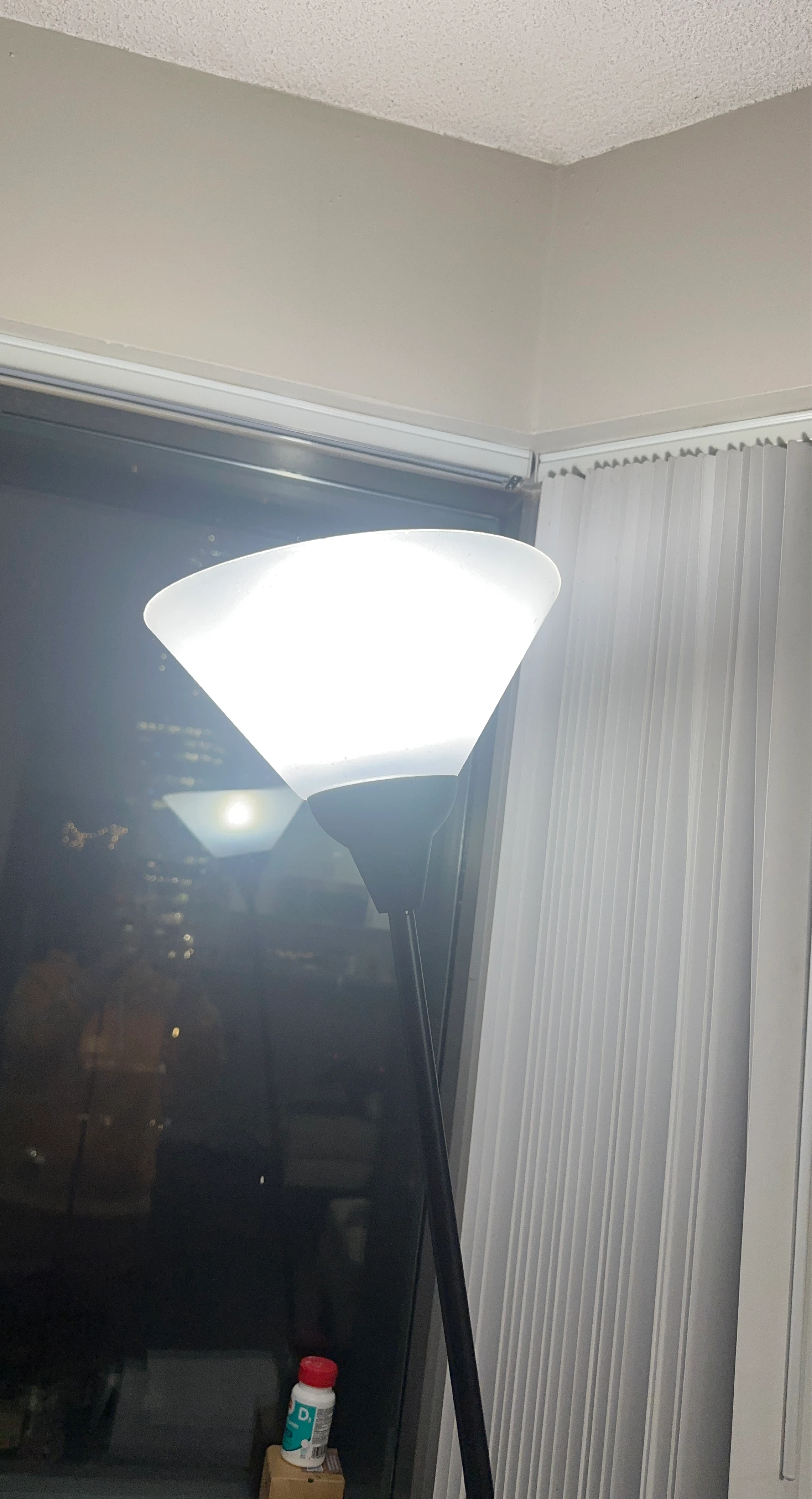 Floor Lamp with Frosted Shade