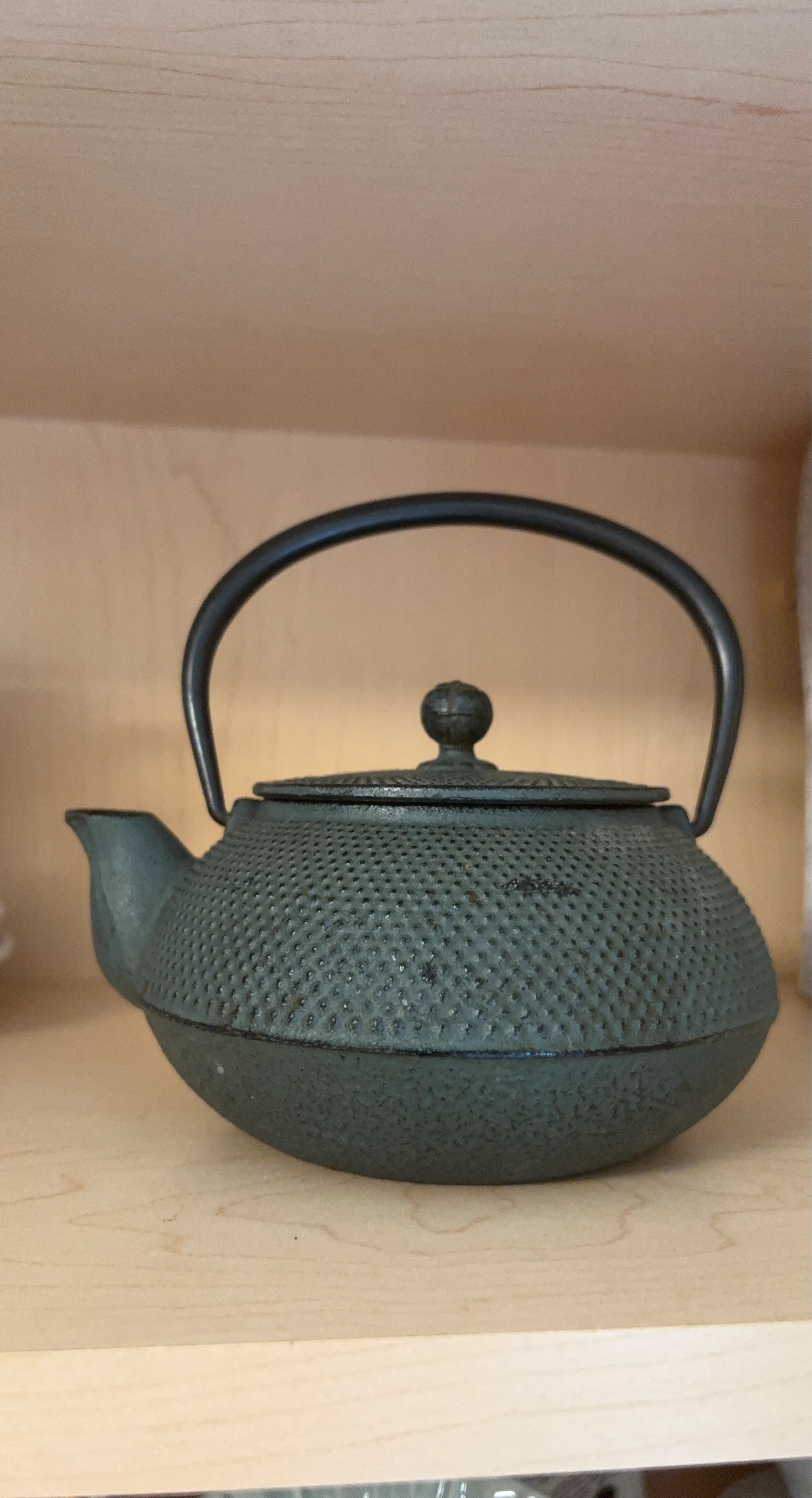 Cast Iron Teapot