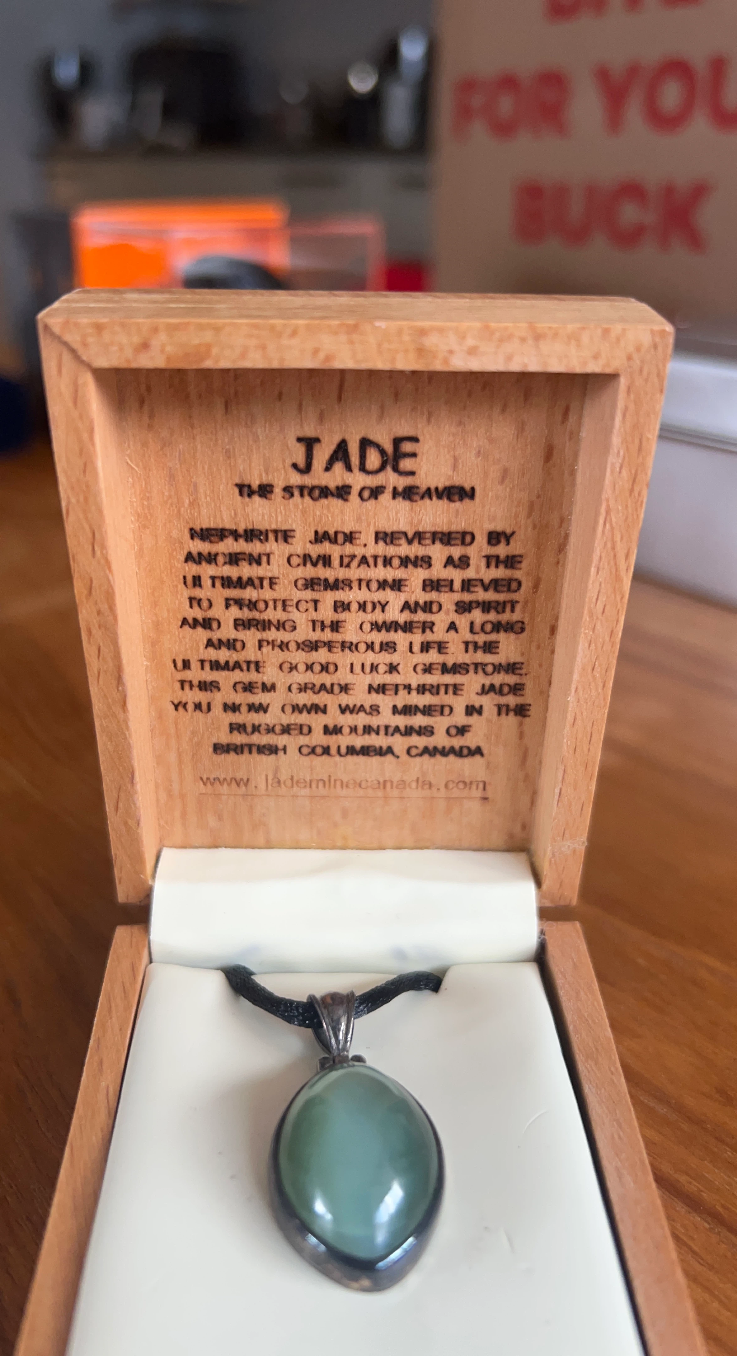 Nephrite Jade Pendant from British Columbia