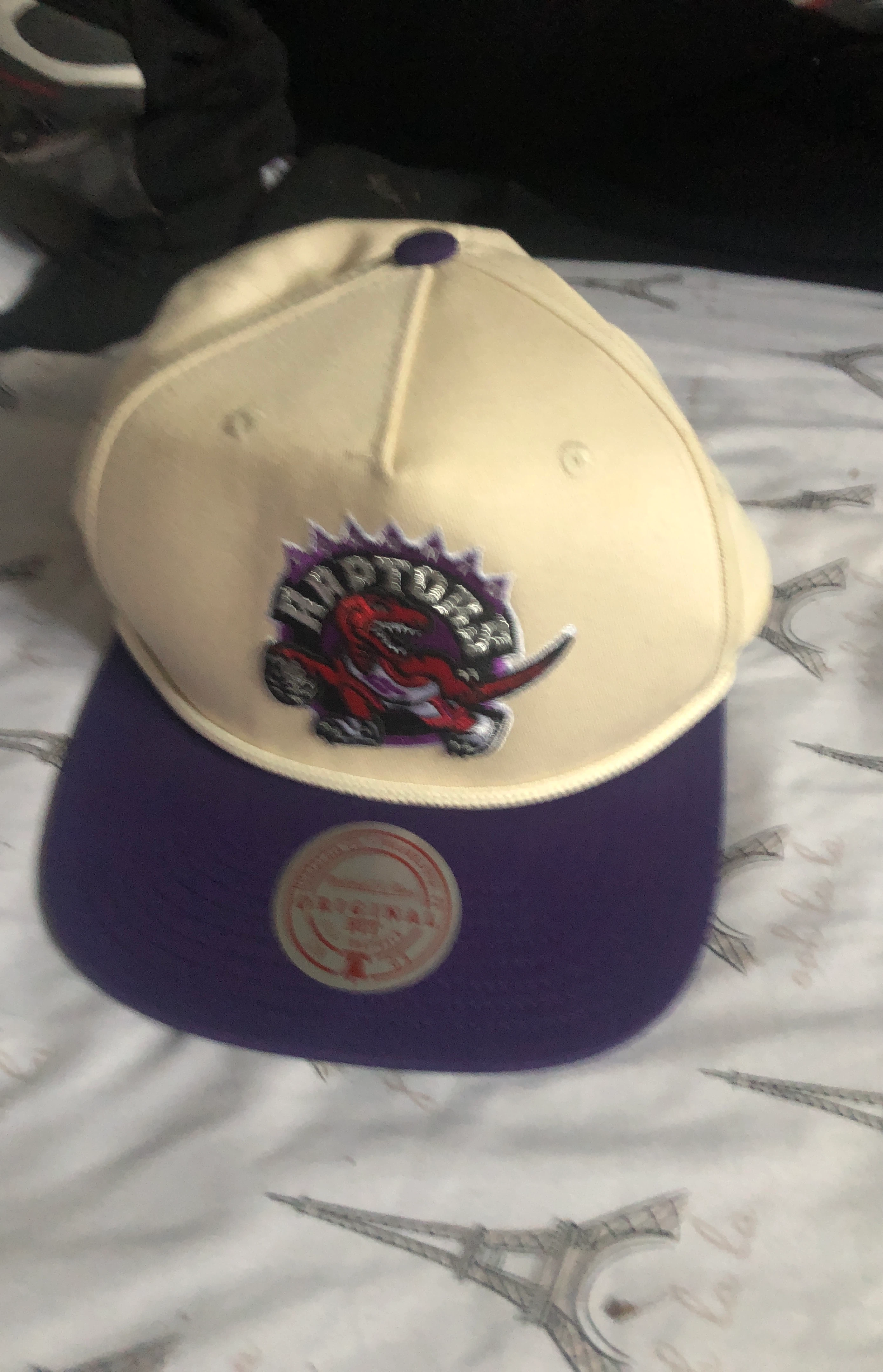 Mitchell & Ness Toronto Raptors Snapback Hat