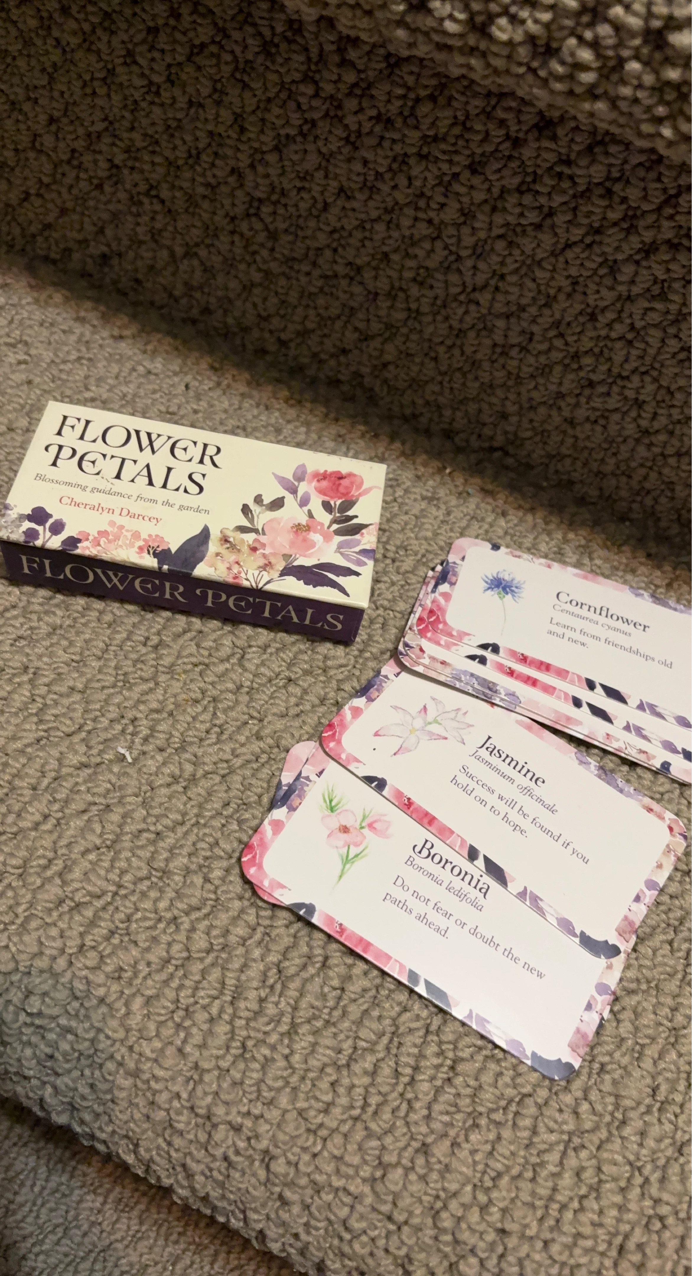 Flower Petals Guidance Cards by Cheralyn Darcey