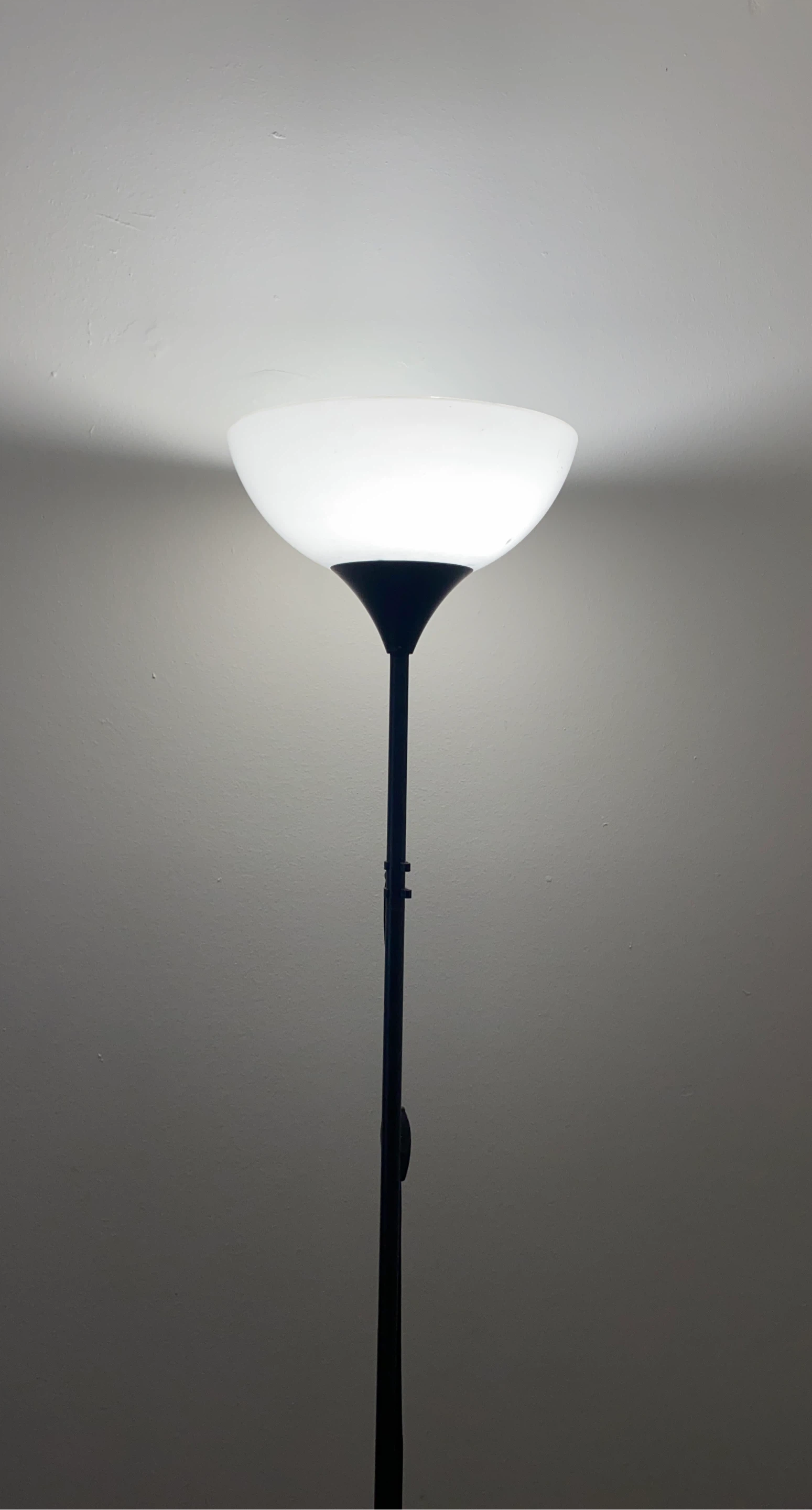 Black Floor Lamp with Frosted Shade