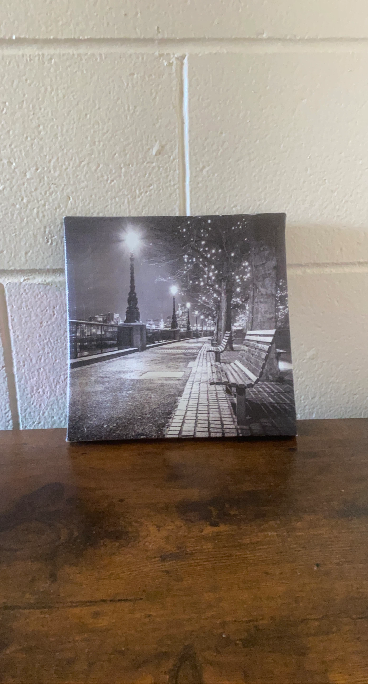 Black and White Canvas Print - Park Scene