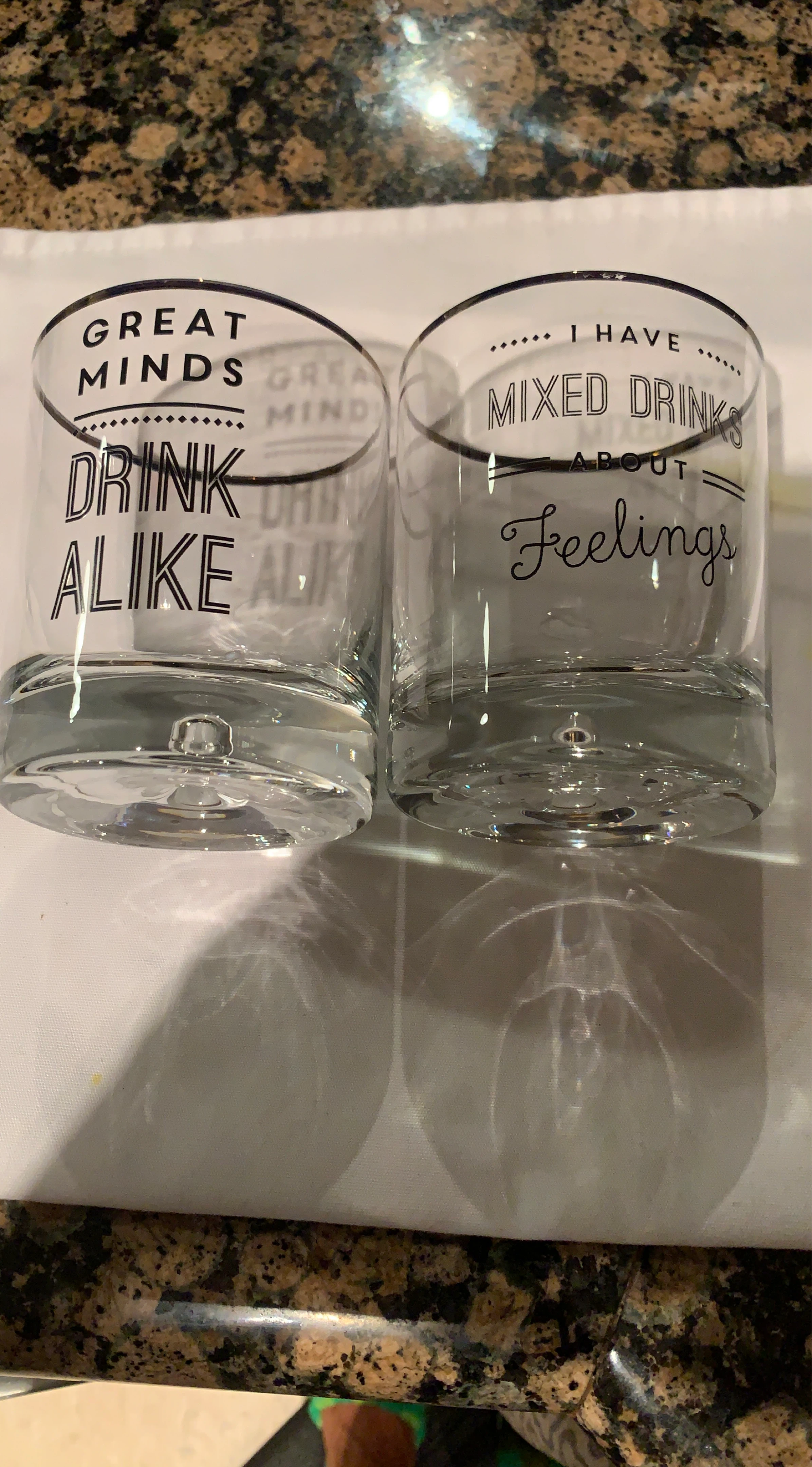 Set of 2 Novelty Drinking Glasses with Gold Rims