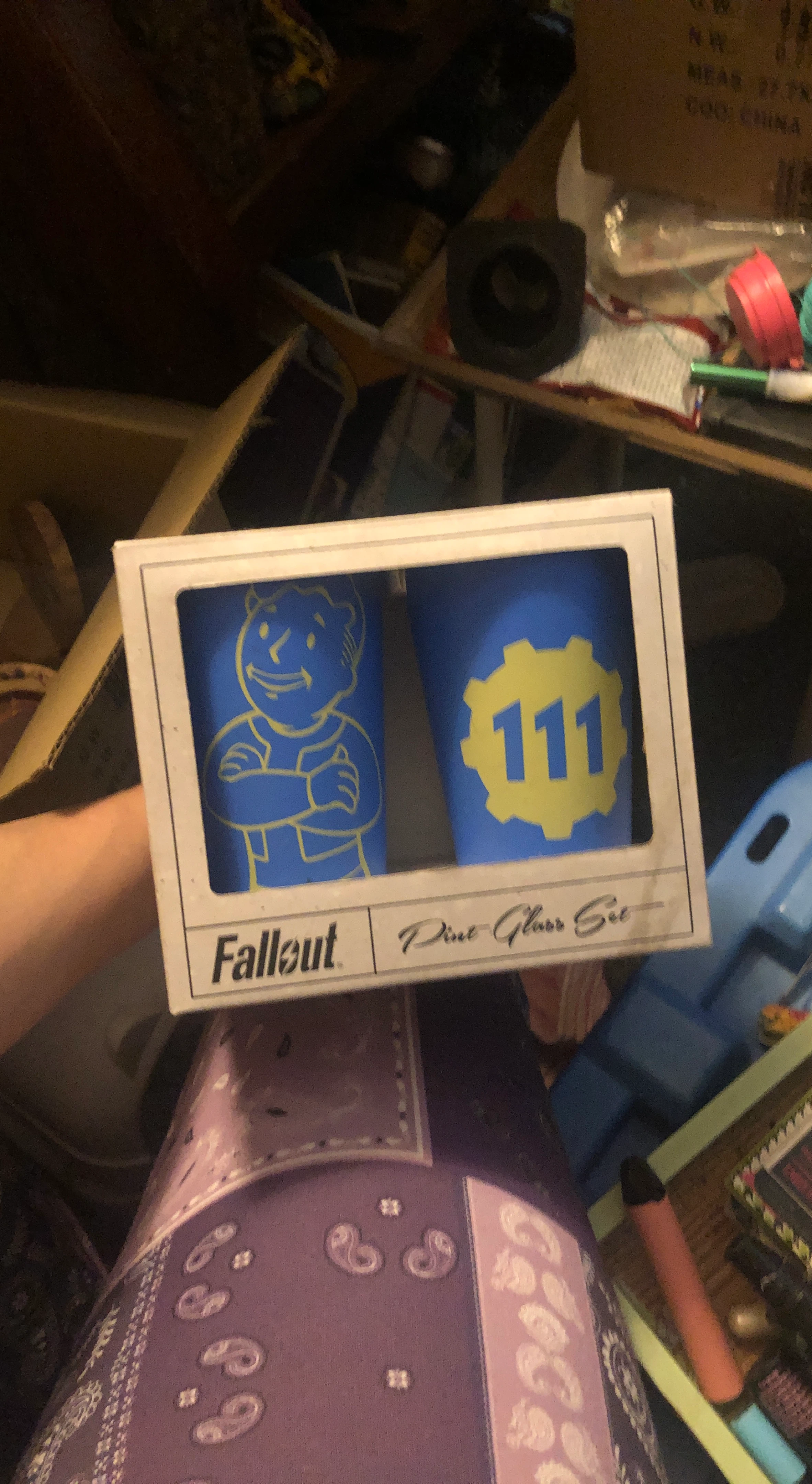 Fallout Pint Glass Collectors Set x2