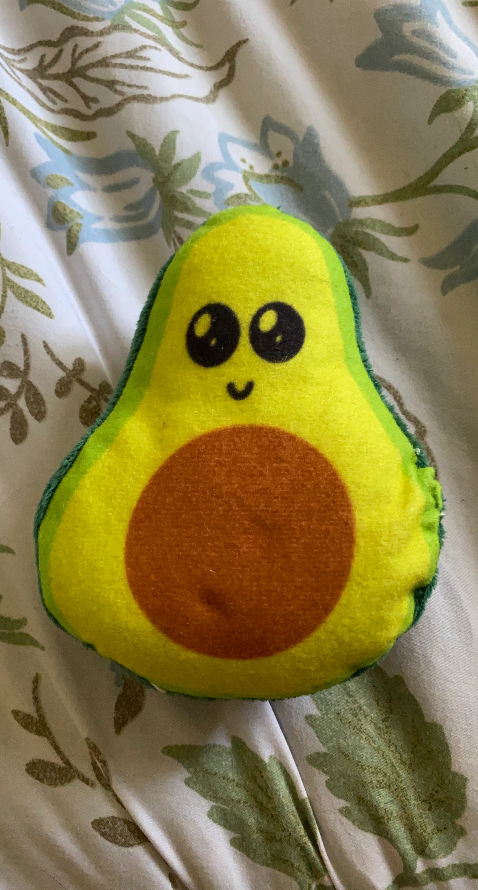 Plush Avocado Toy
