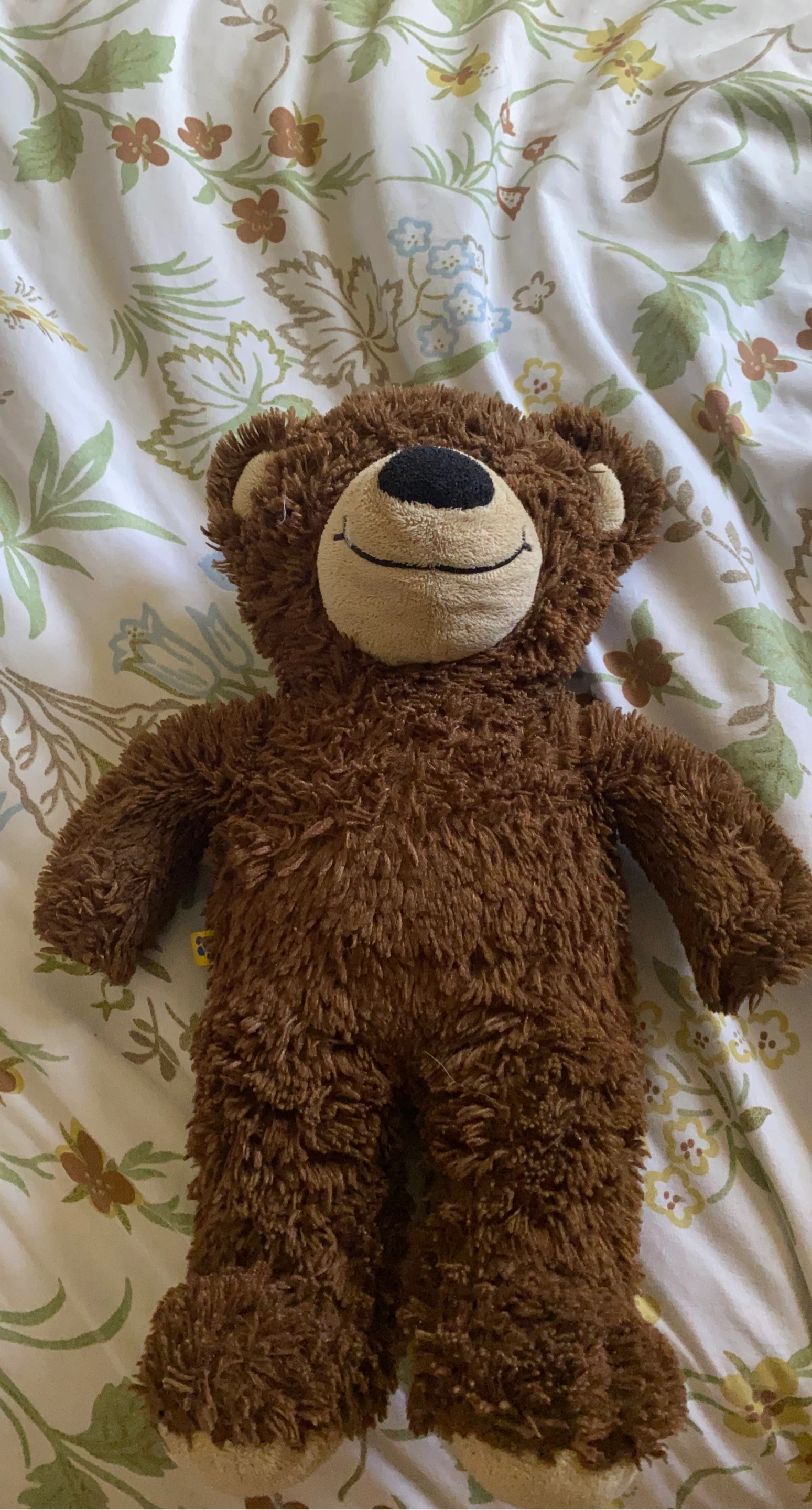 Brown Teddy Bear Plush