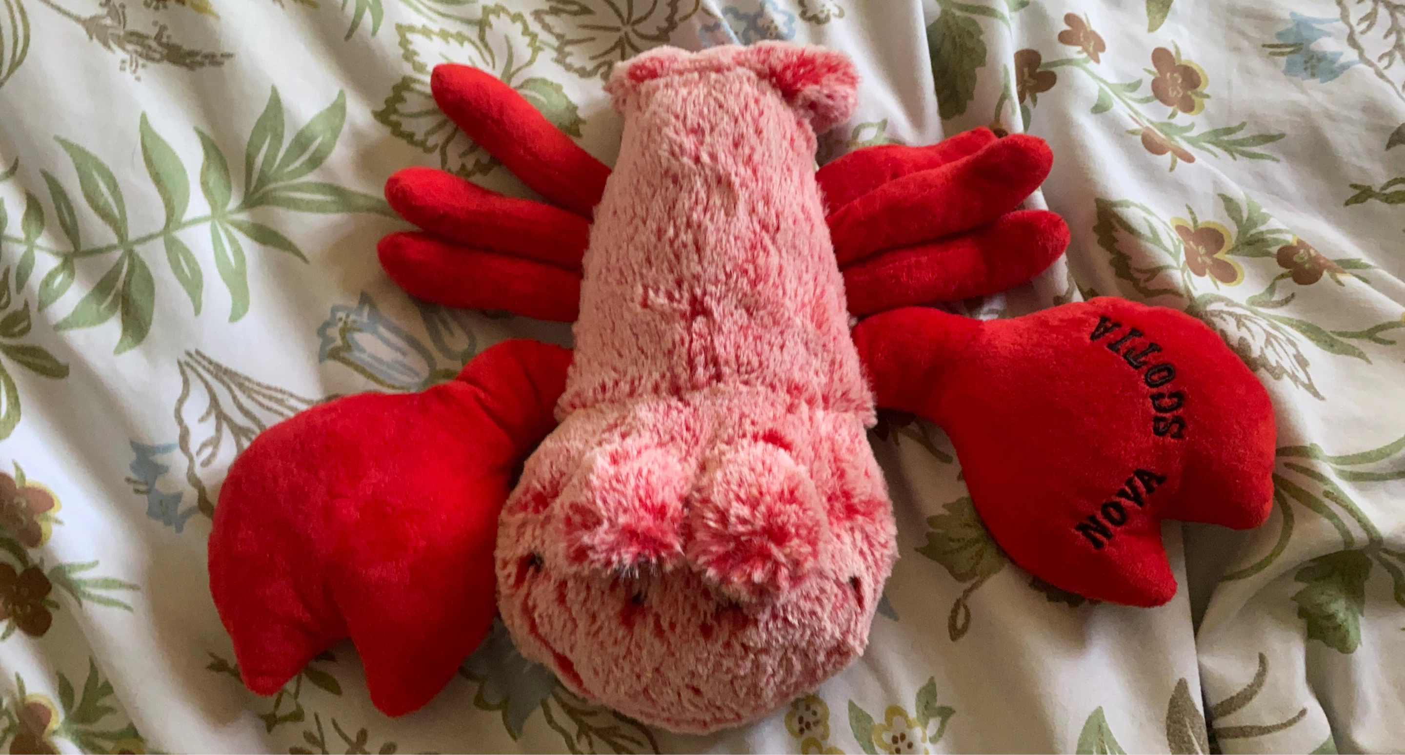 Plush Lobster Toy