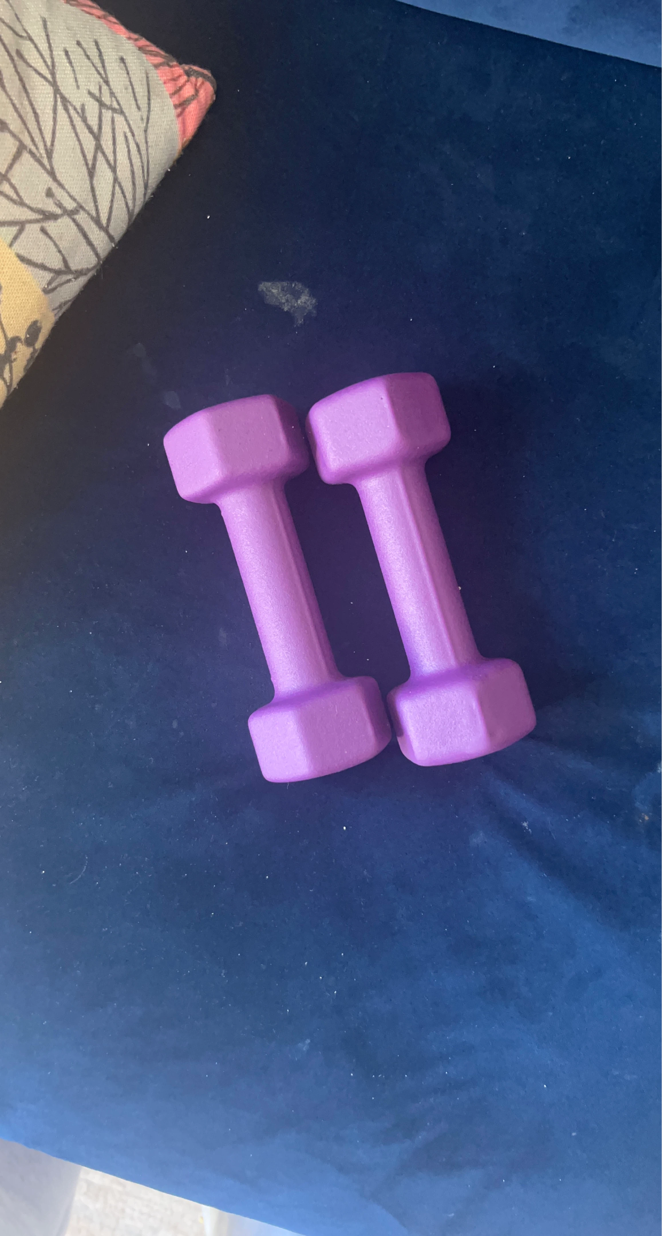 Purple 5lb Dumbbells (Pair)