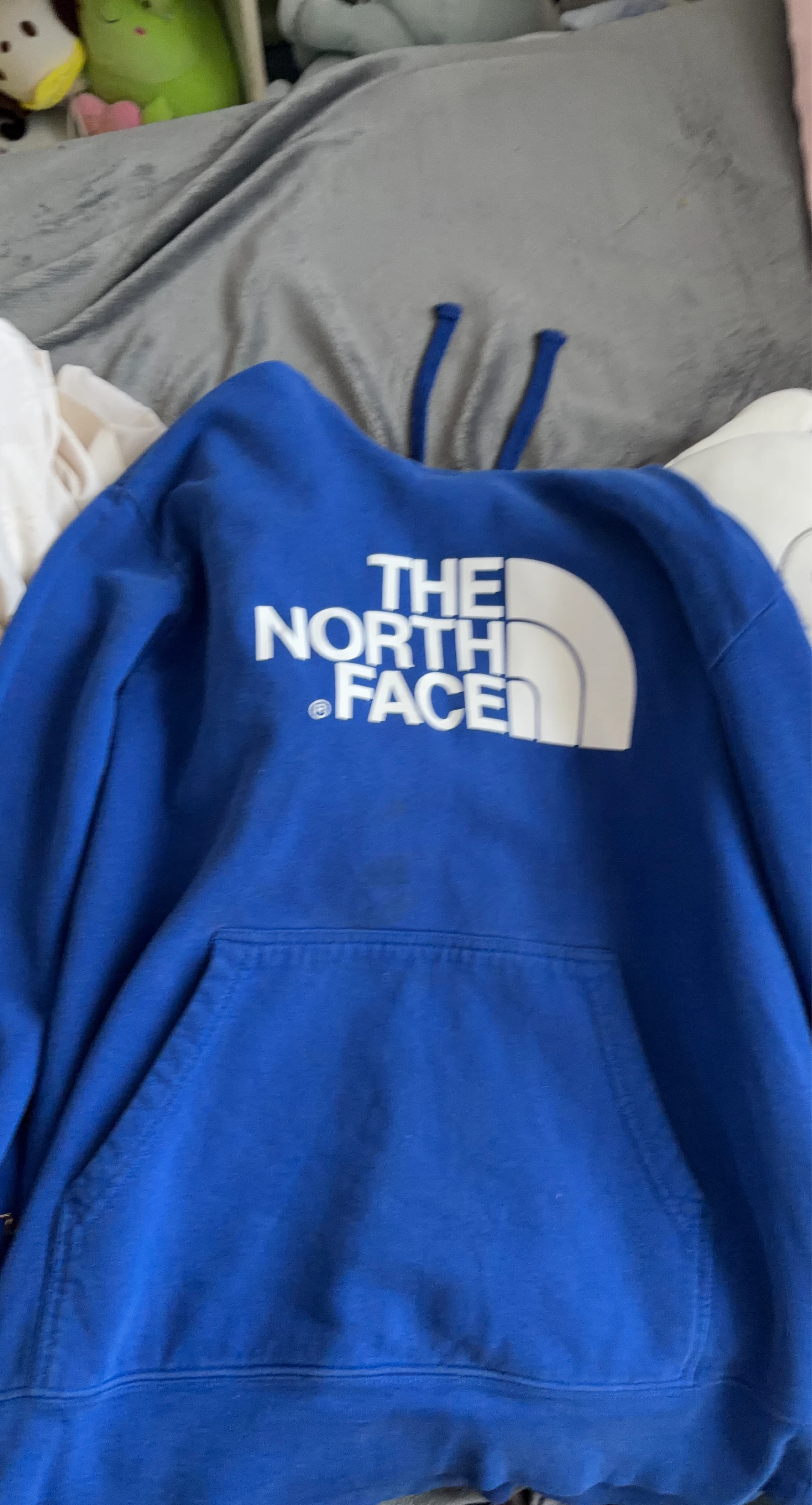 The North Face Hoodie