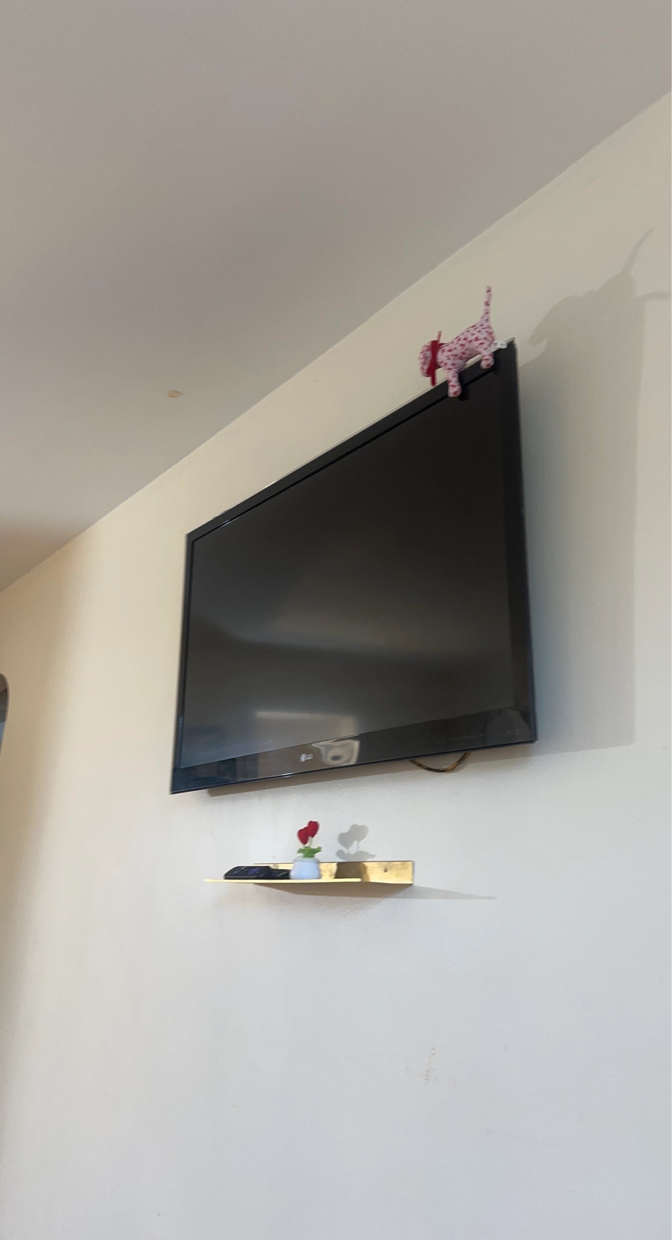 LG Television