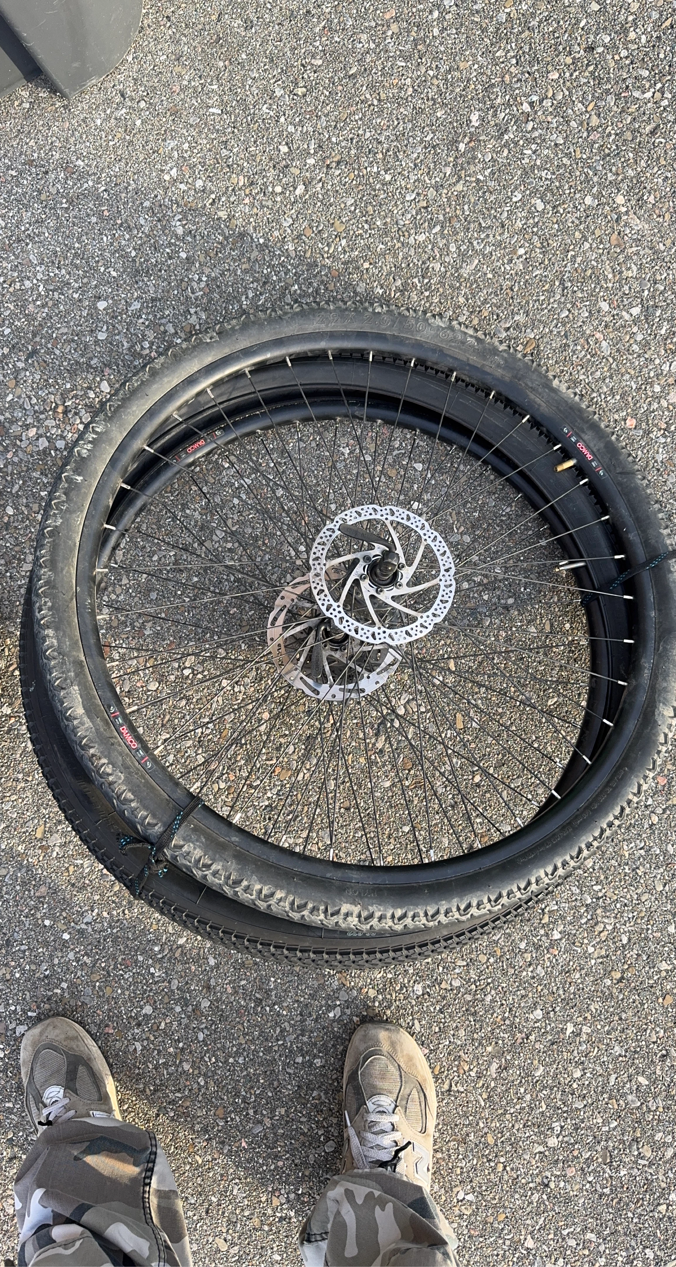 29" x 2.0" Bicycle Wheel with Disc Brake Rotor