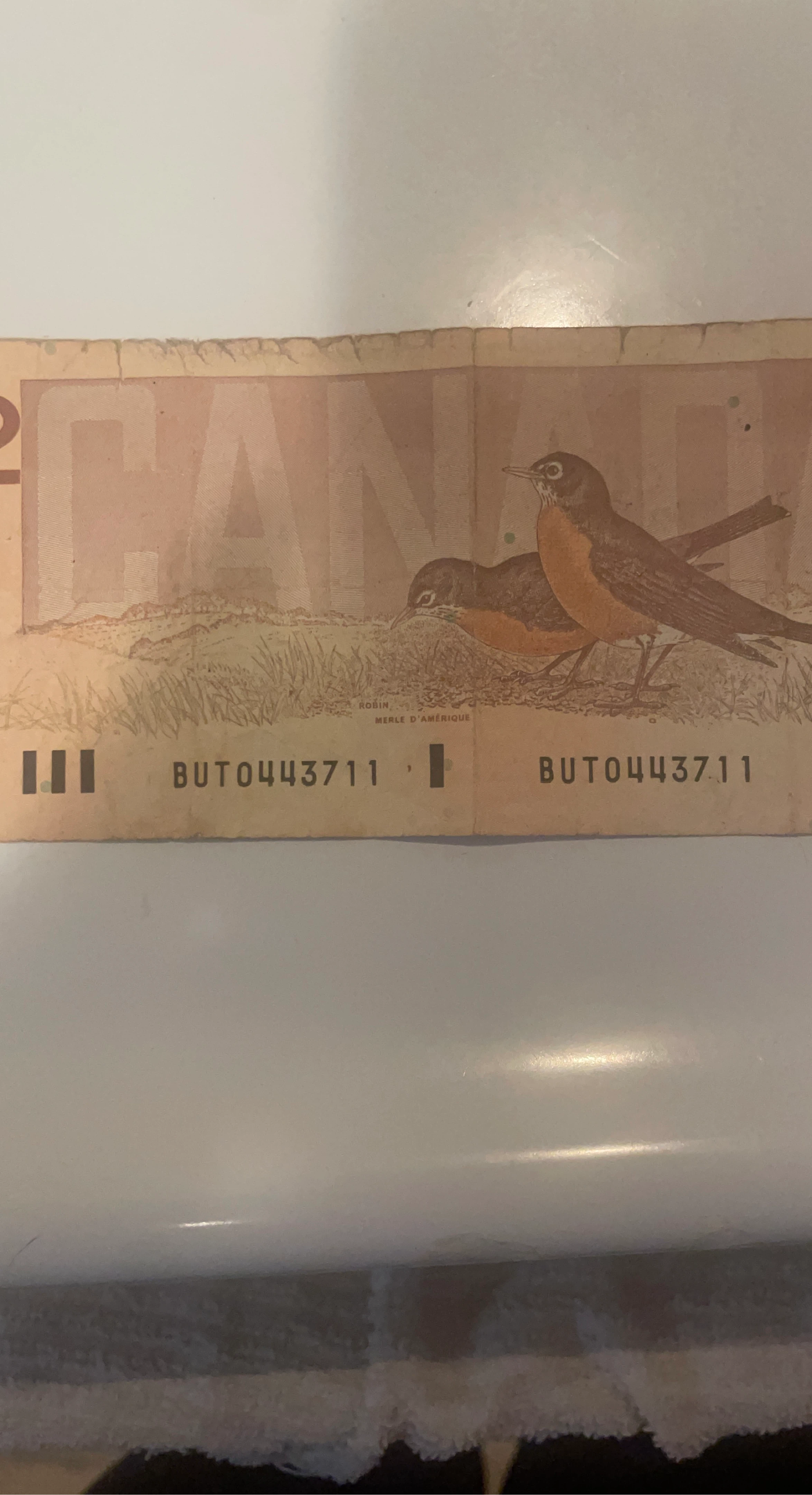 Canadian $2 Banknote