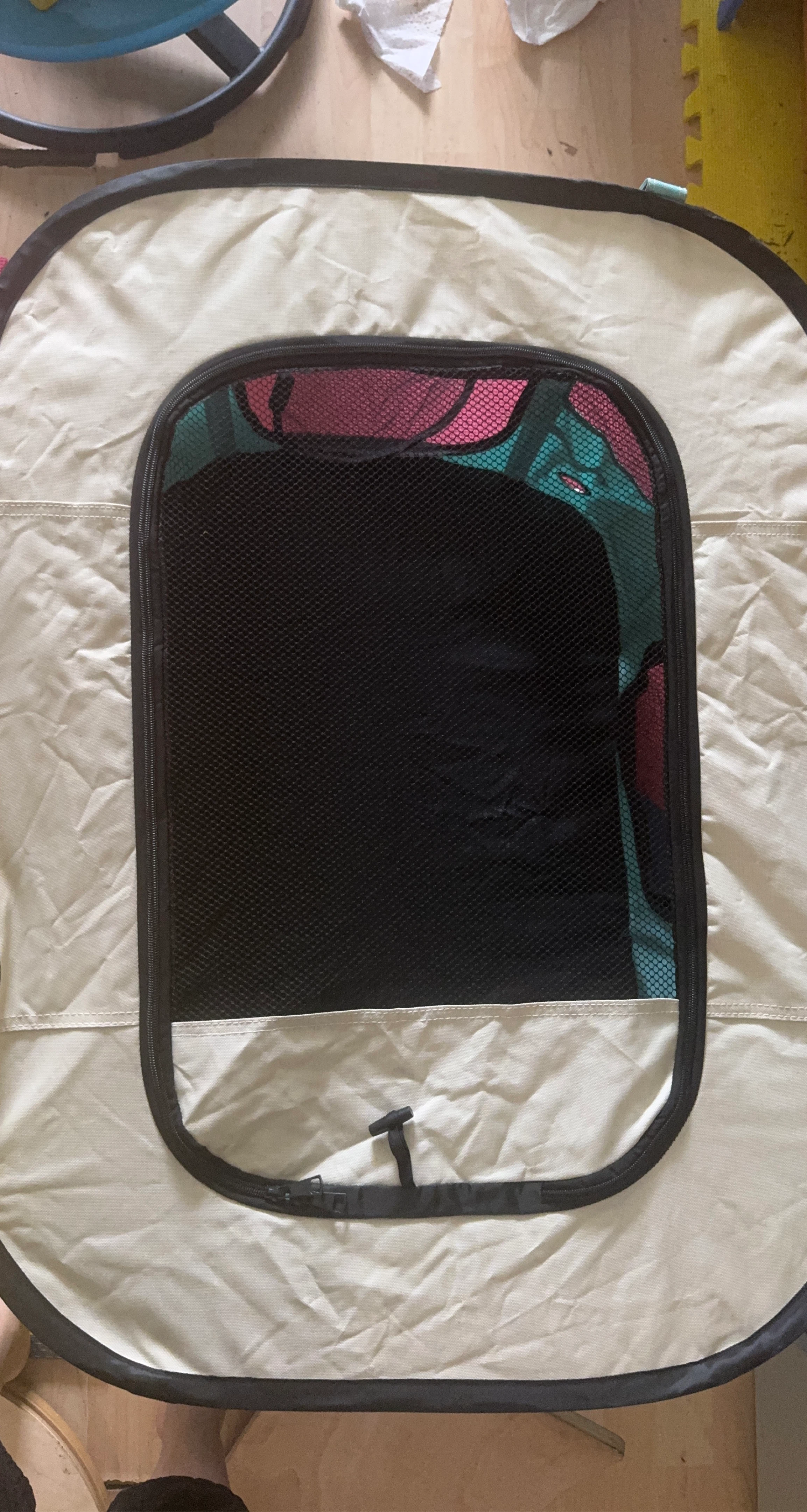 Pet Play Pen - Teal/Cream