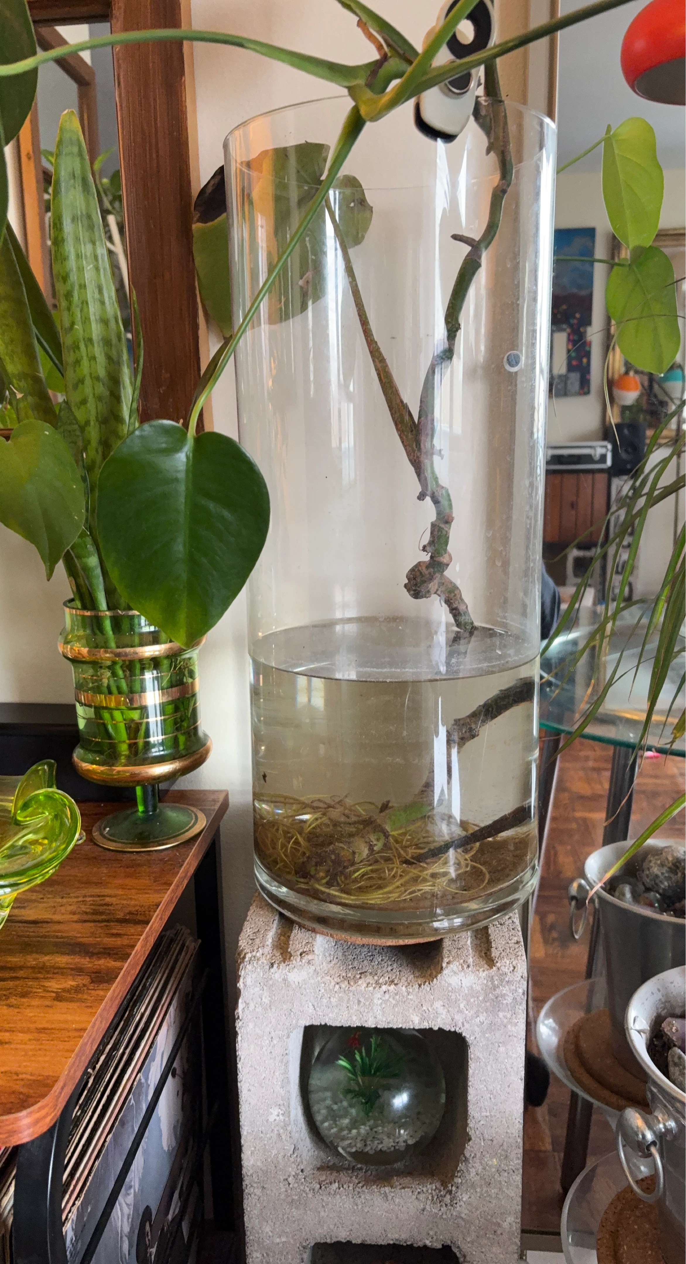 Large Glass Cylinder Vase