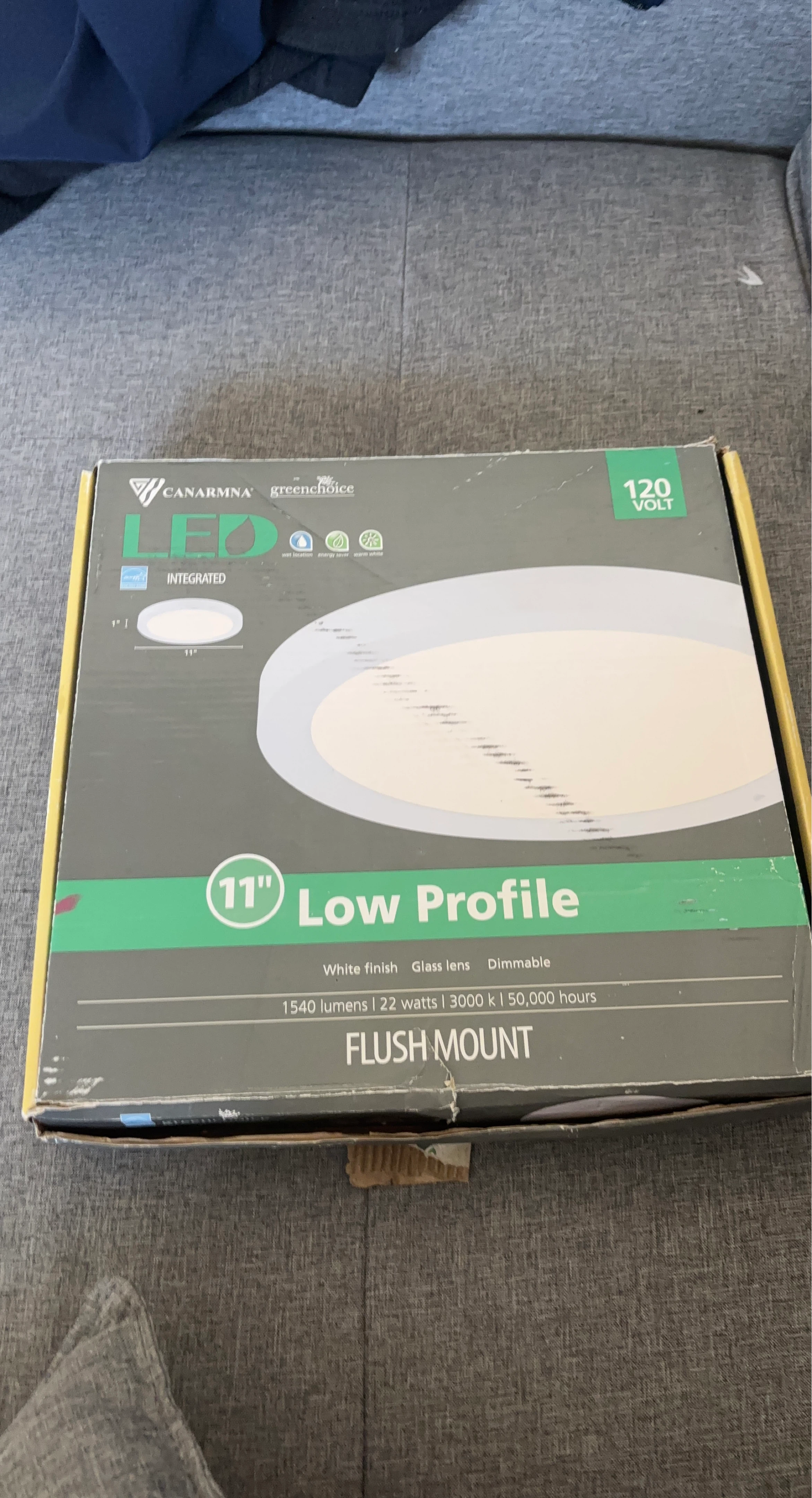 CANARM LED 11" Flush Mount Low Profile Light Fixture