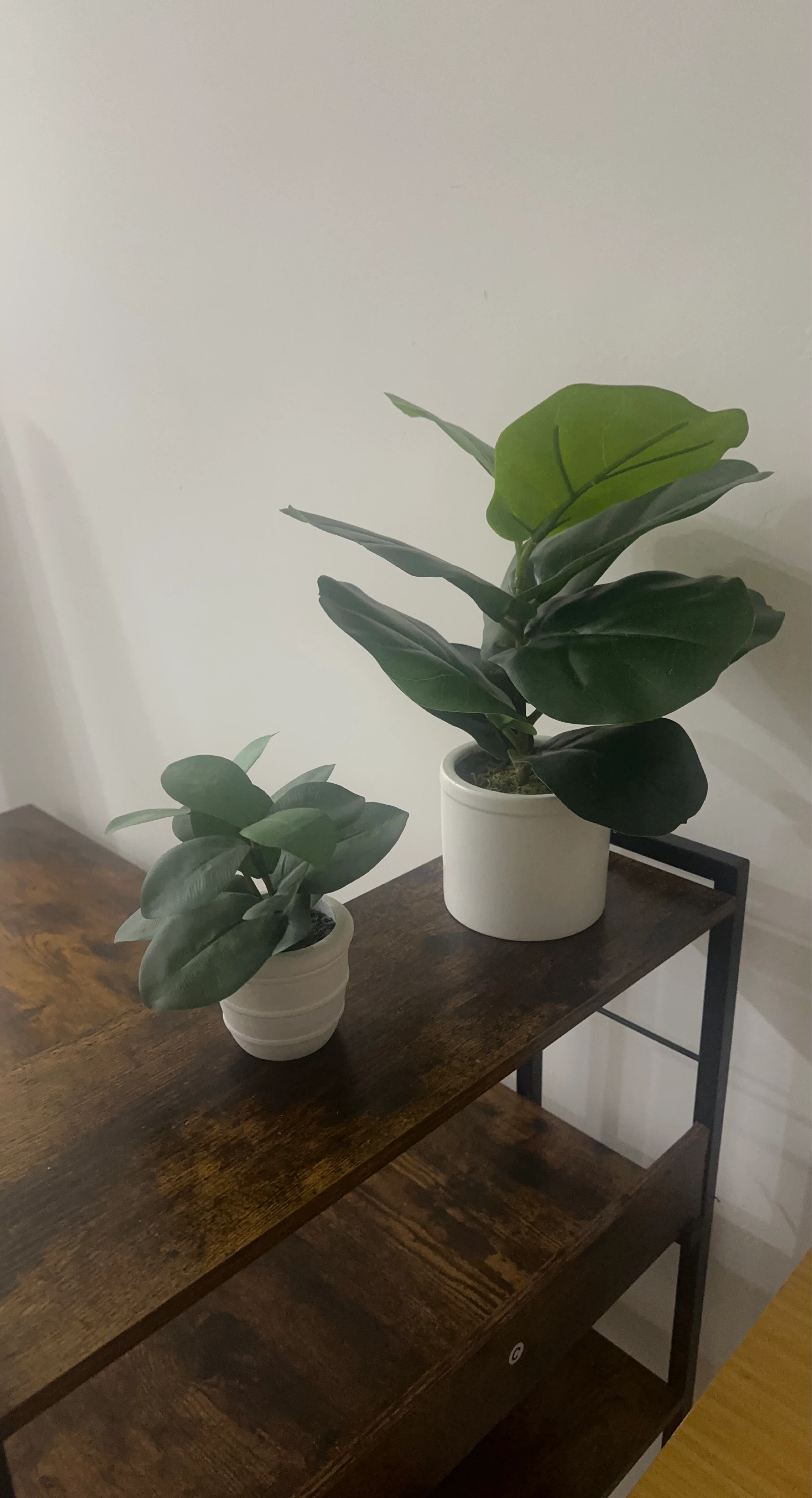 Set of 2 Faux Potted Plants