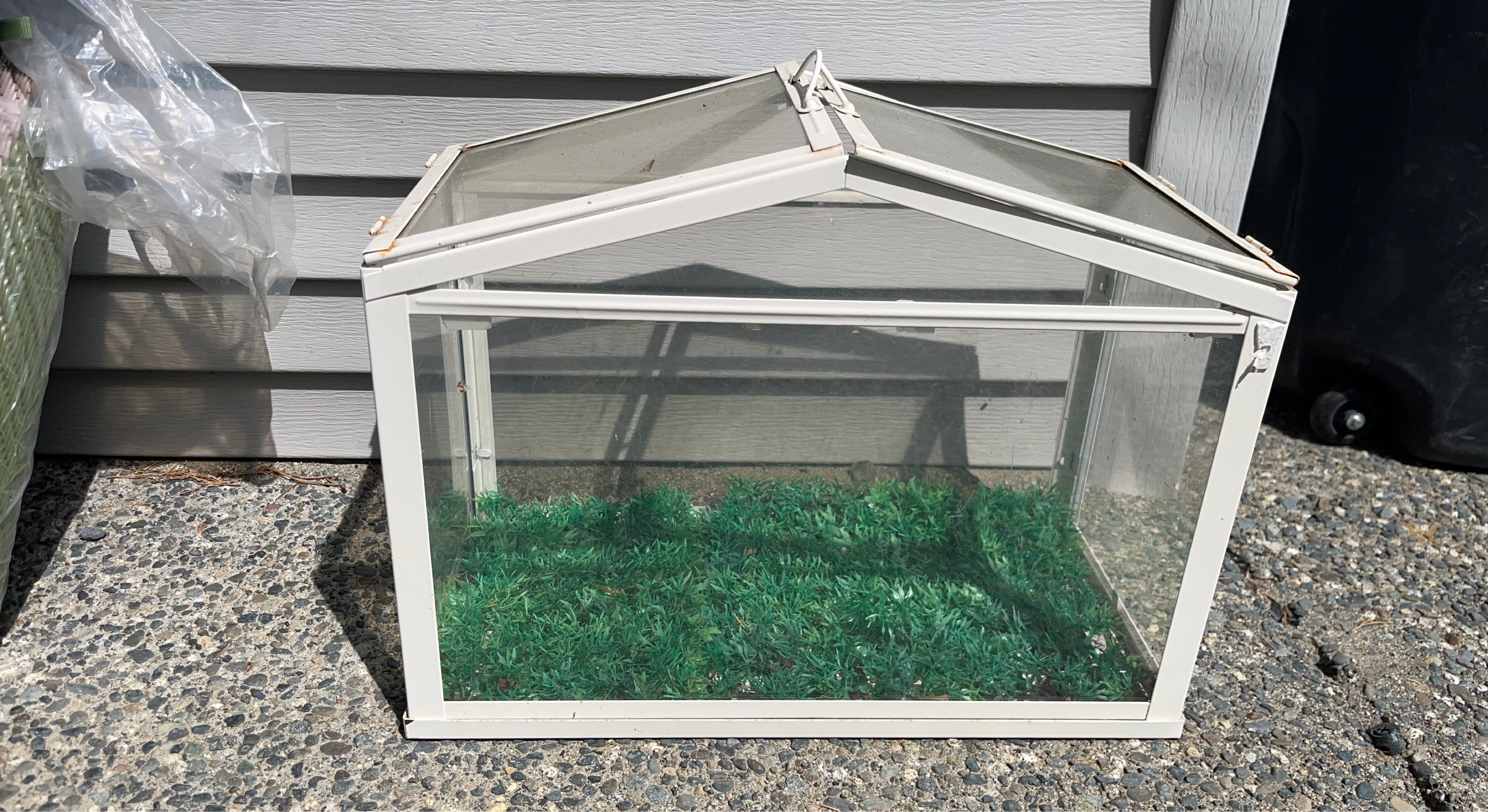 Small Glass Greenhouse with White Frame