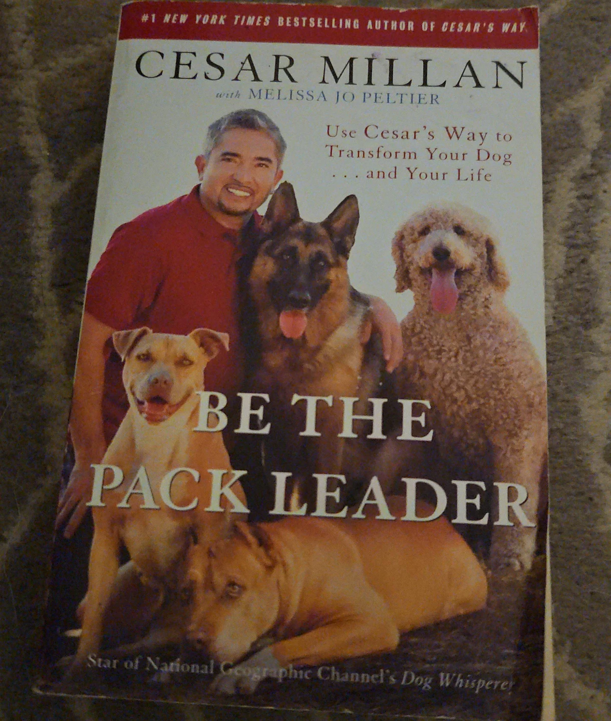 Be the Pack Leader by Cesar Millan