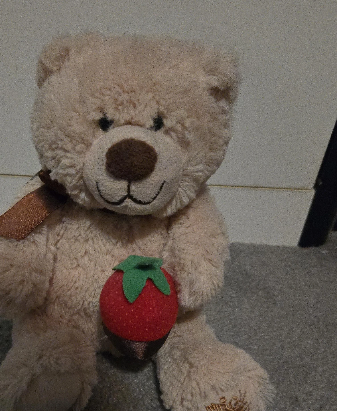 Plush Teddy Bear with Strawberry