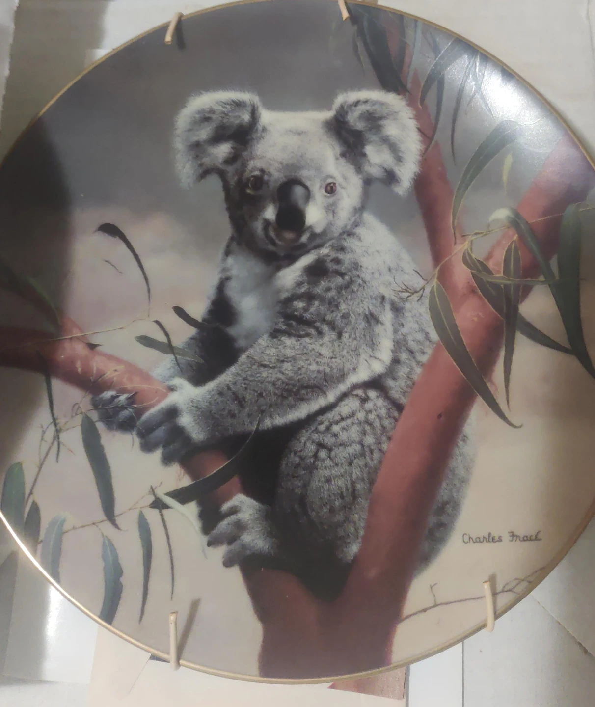 Decorative Plate with Koala by Charles Frace