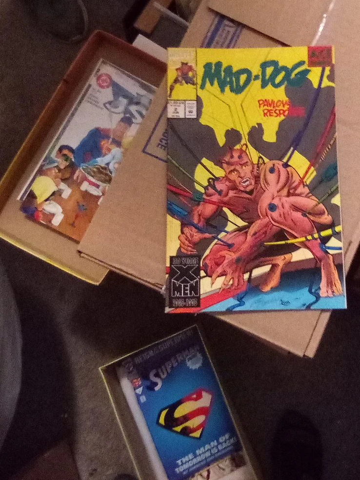 Mad Dog & Superman Comics