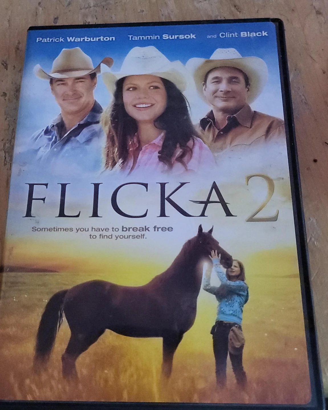 Flicka 2 DVD