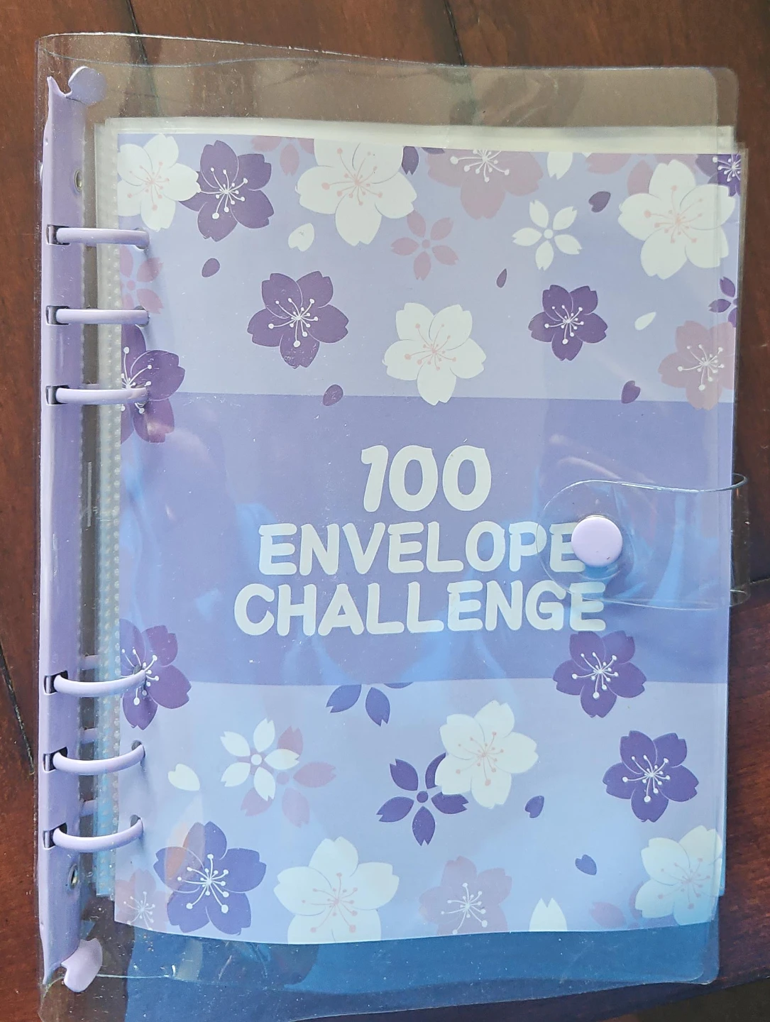100 Envelope Challenge Binder