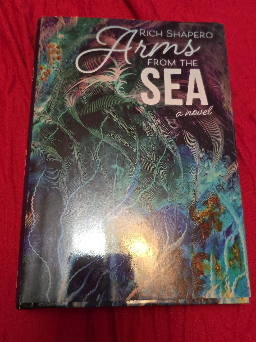Arms From The Sea: A Novel by Rich Shapero