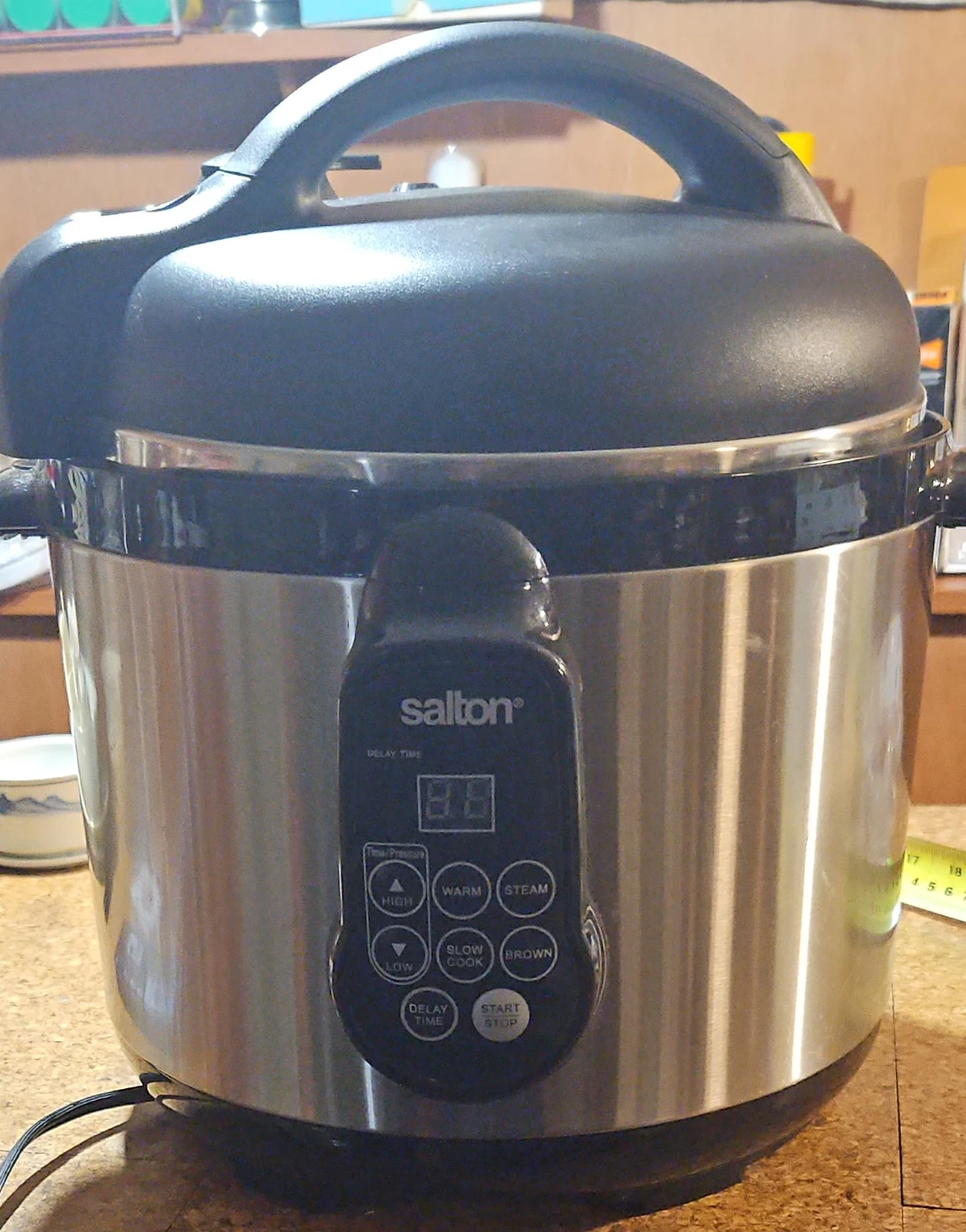 Salton Electric Multi-Cooker