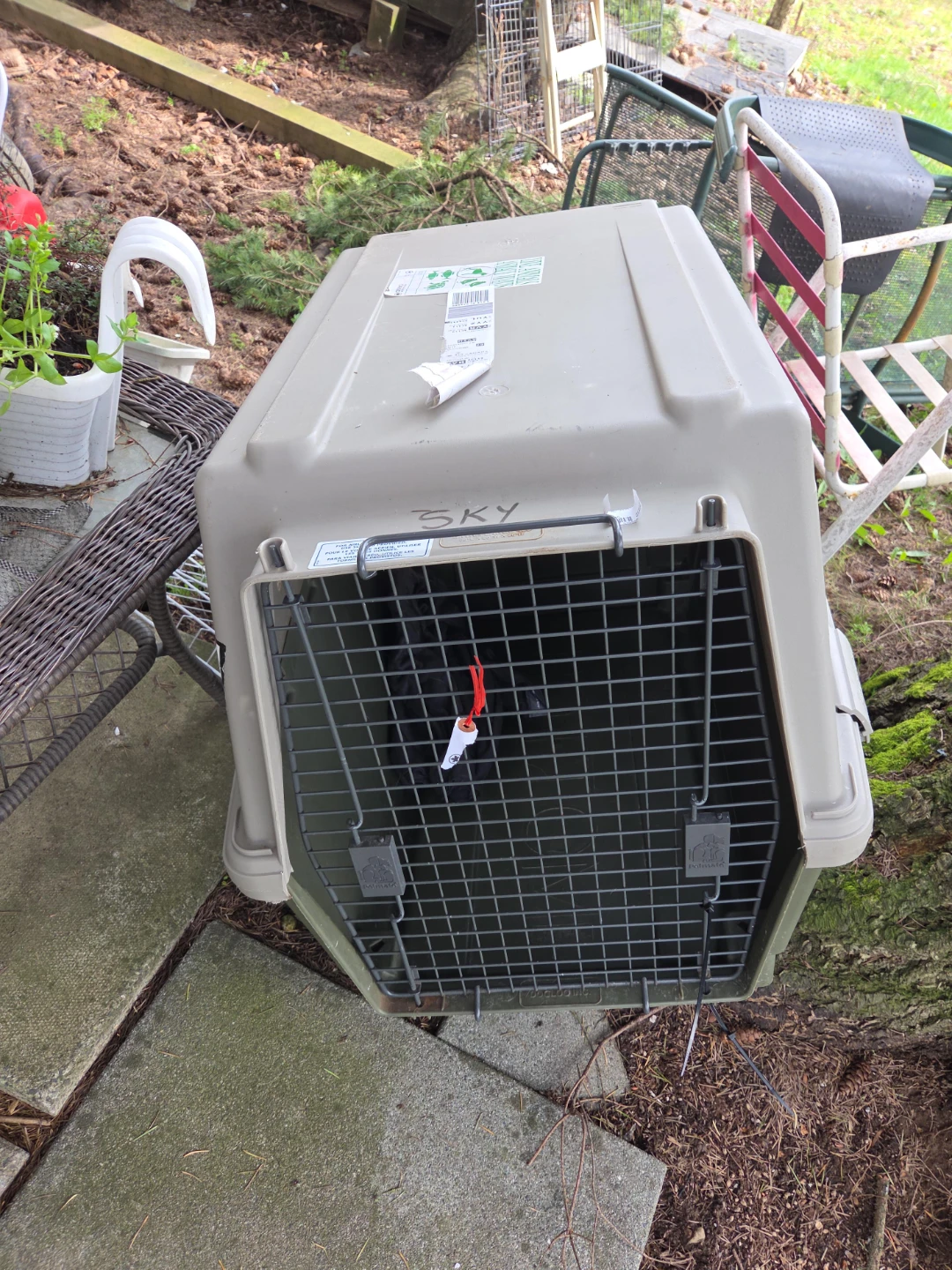 Petmate Dog Crate